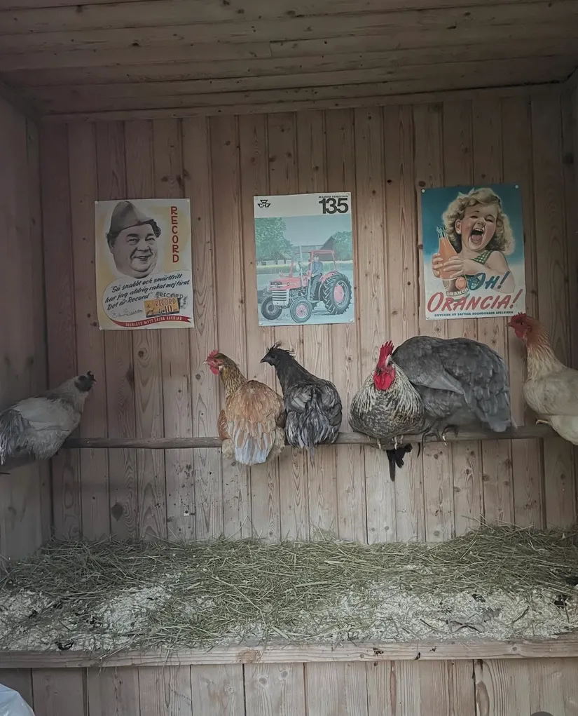 Gård/Skog, Marieberg 805, Åsbro, Askersund