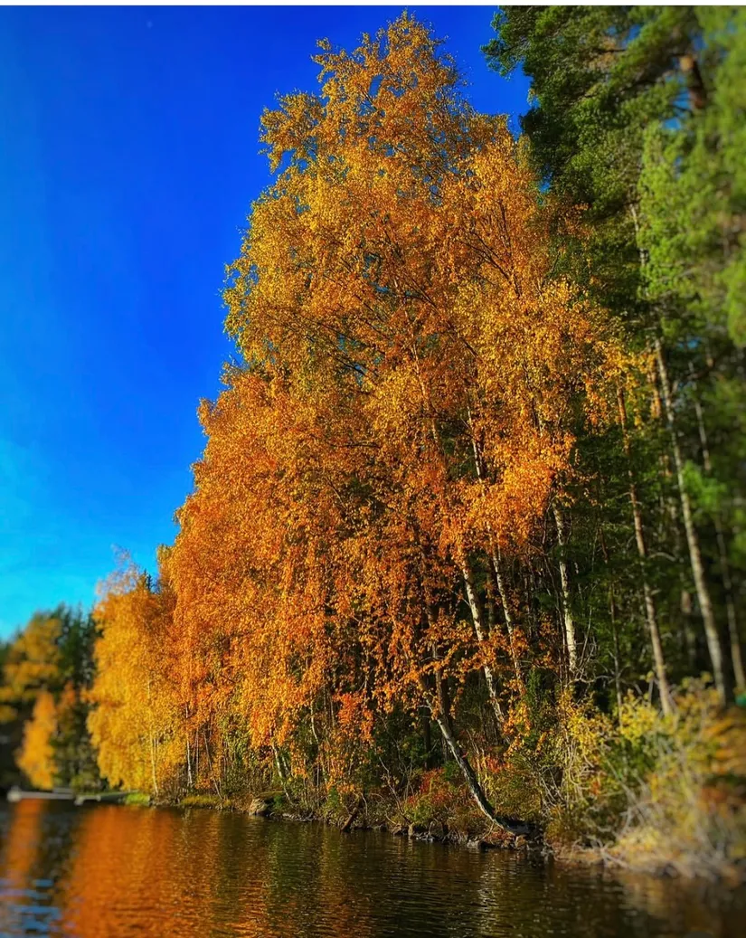 Gård/Skog, Marieberg 805, Åsbro, Askersund