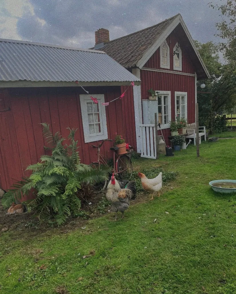 Gård/Skog, Marieberg 805, Åsbro, Askersund