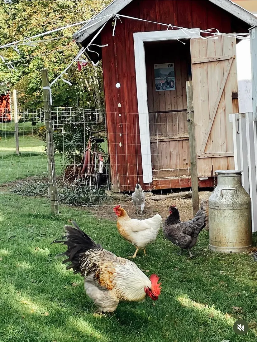 Gård/Skog, Marieberg 805, Åsbro, Askersund