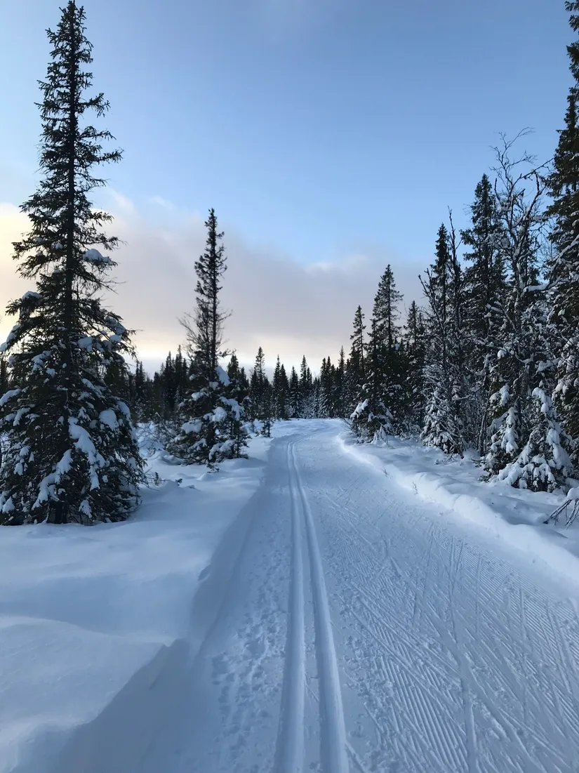 Bostadsrätt, Copperhill 50 D, Åre - Björnen, Åre