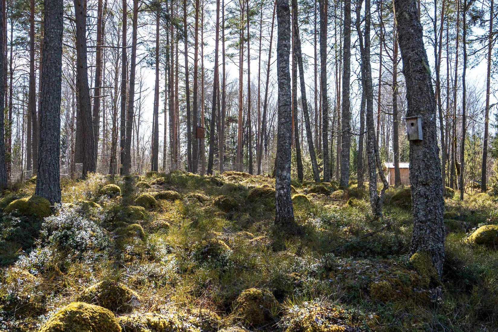 Fritidshus, Enåkersby 423, Heby