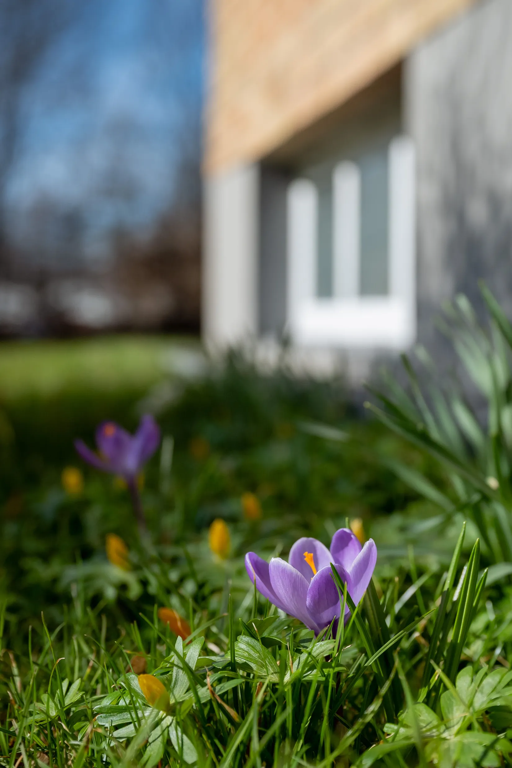 Villa, Lindgatan 5, Osby - Centralt, Osby