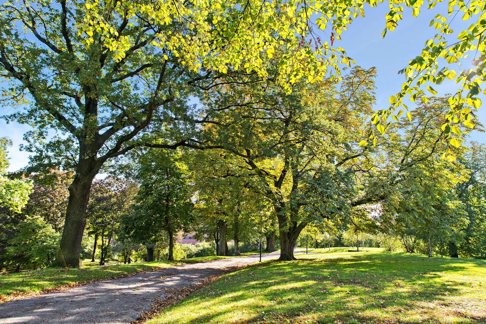 Bostadsrätt, John Bergs plan 3, 5 Tr, Kungsholmen, Stockholm