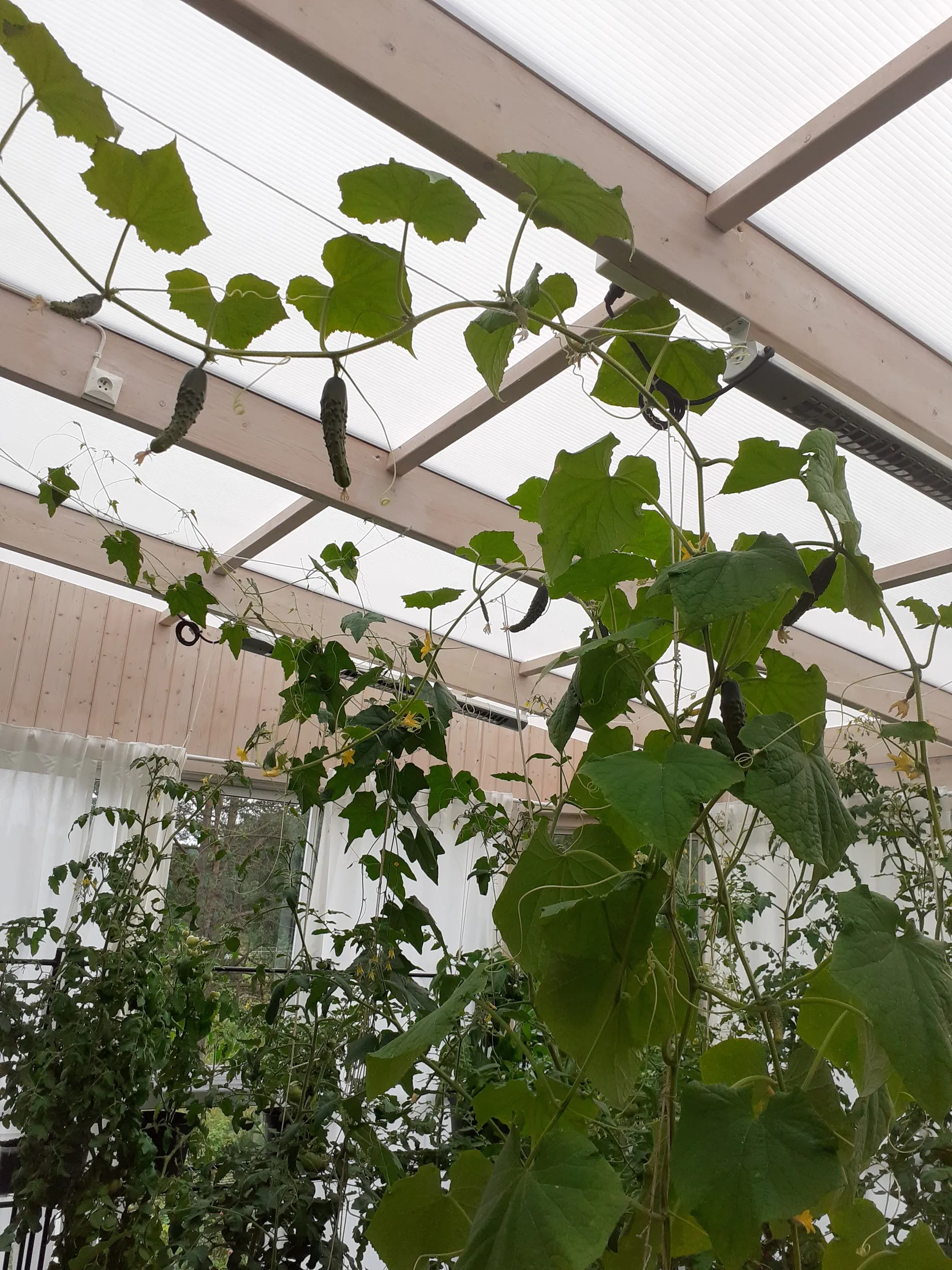 Villa, Håven 235, Lane-Ryr, Uddevalla