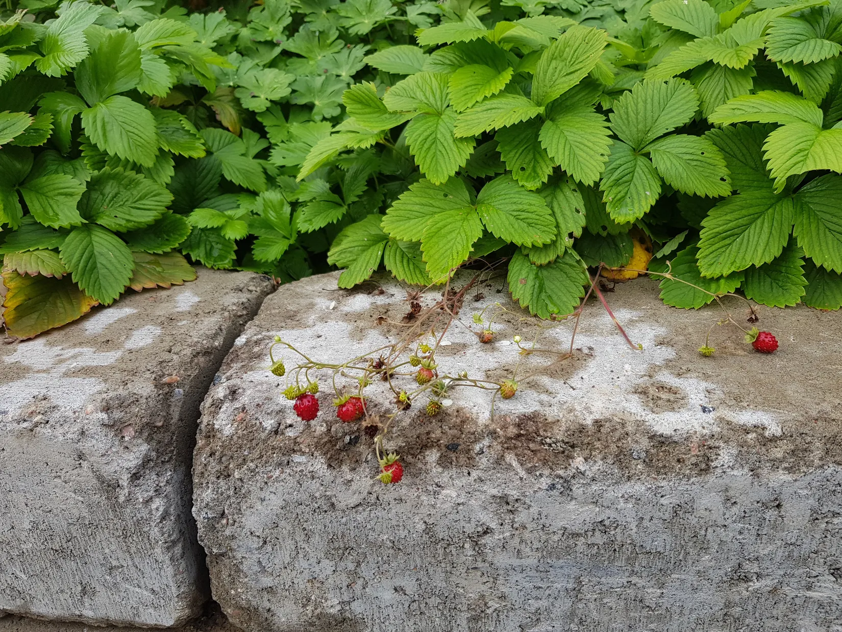 Villa, Håven 235, Lane-Ryr, Uddevalla