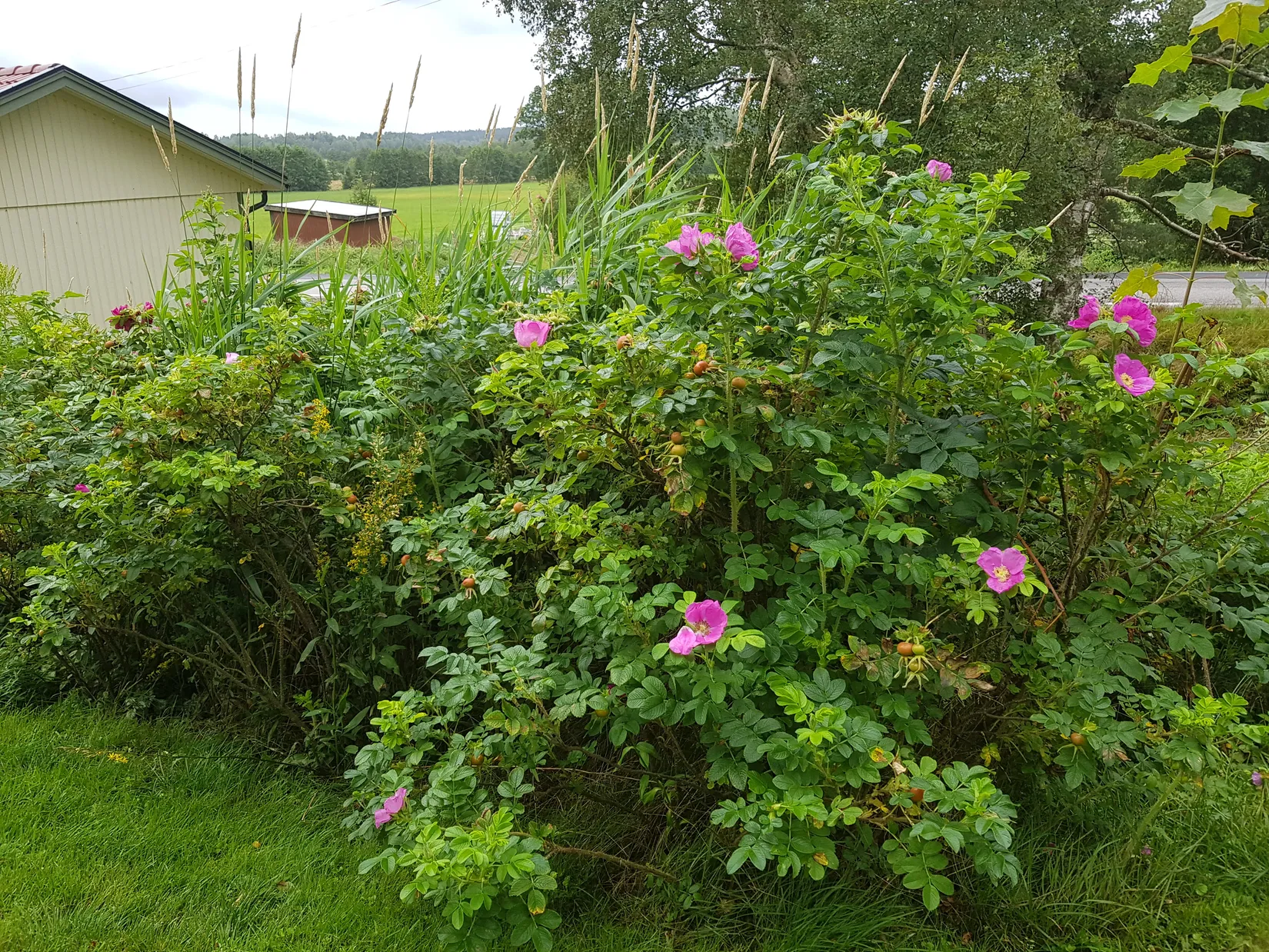 Villa, Håven 235, Lane-Ryr, Uddevalla