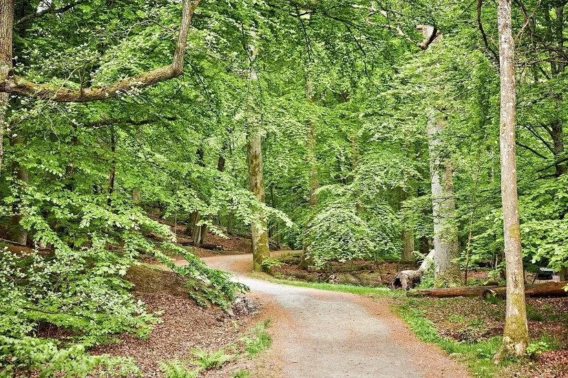 Bostadsrätt, Kvarngärdesgatan 1A, Bö, Göteborg