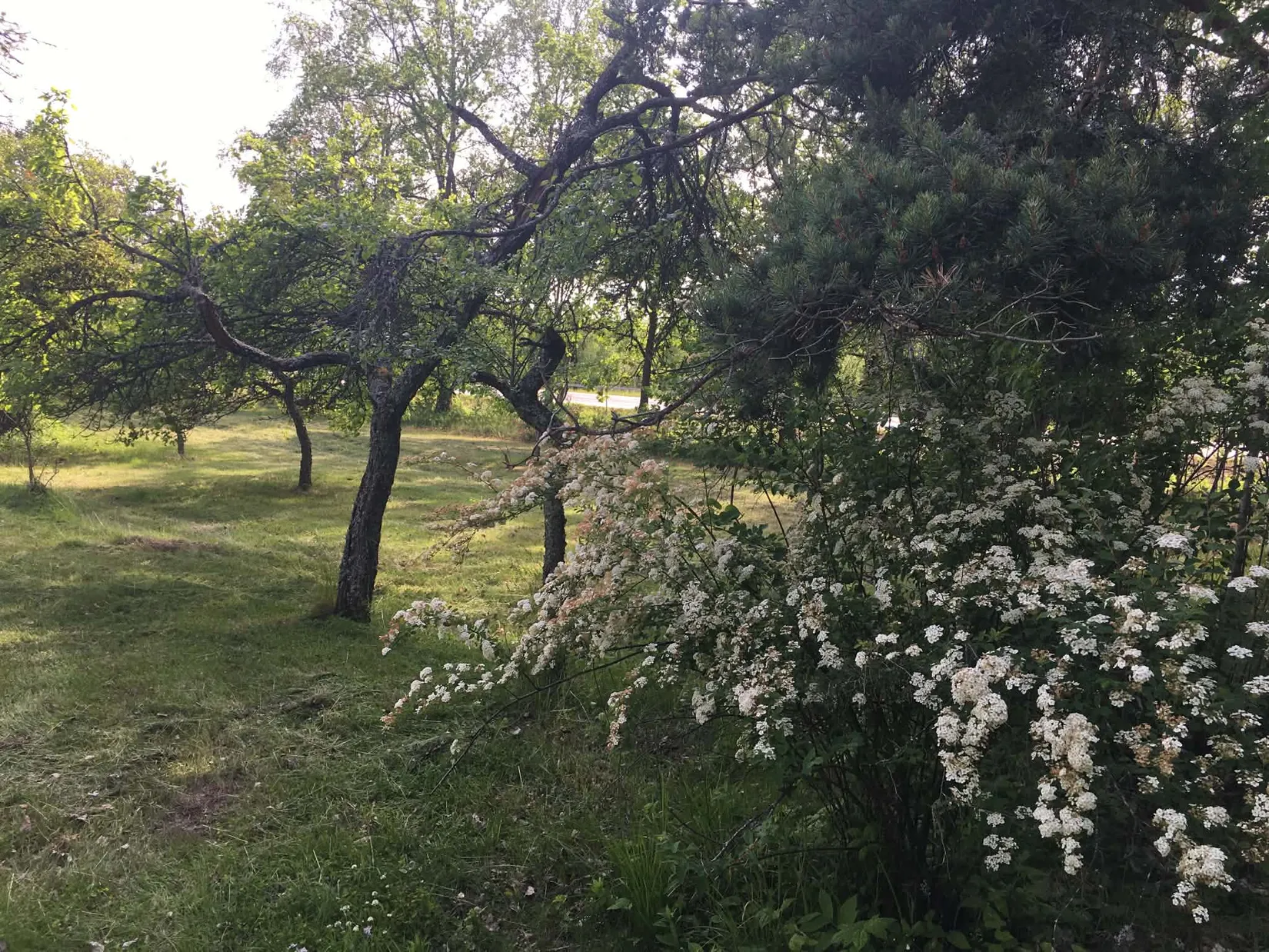 Villa, Kila Lågbo 115, Sala