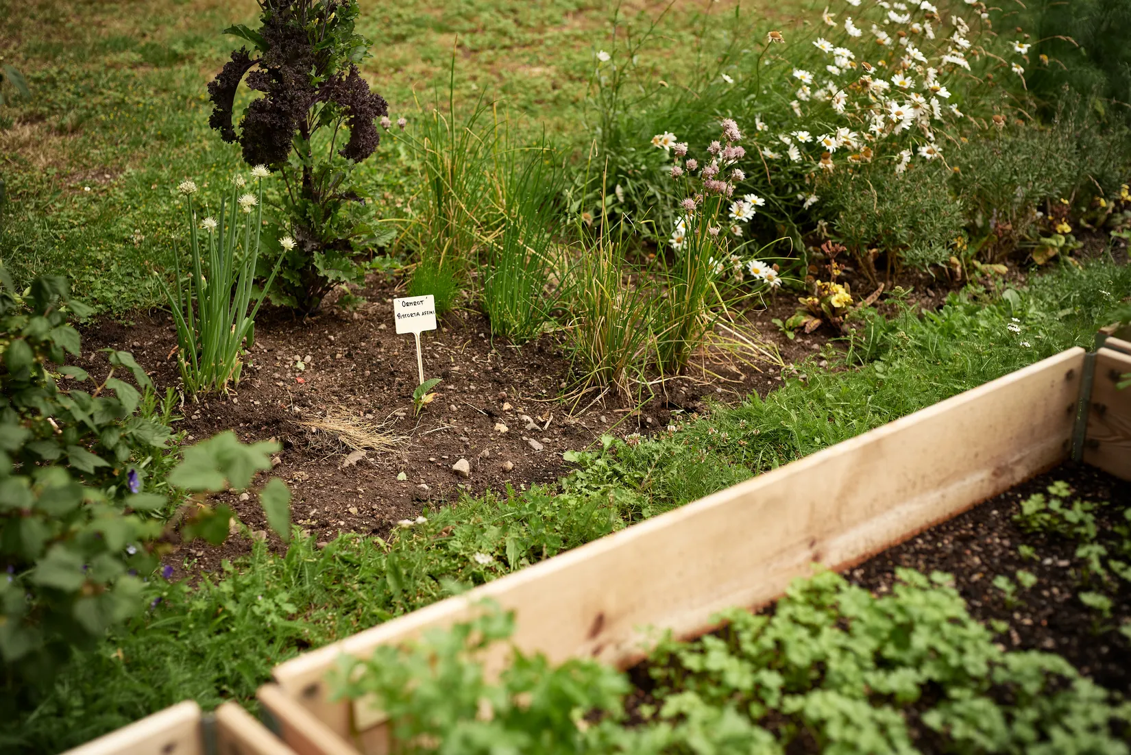 Bostadsrätt, Thomas Johannisgatan 1C, Centrum, Växjö