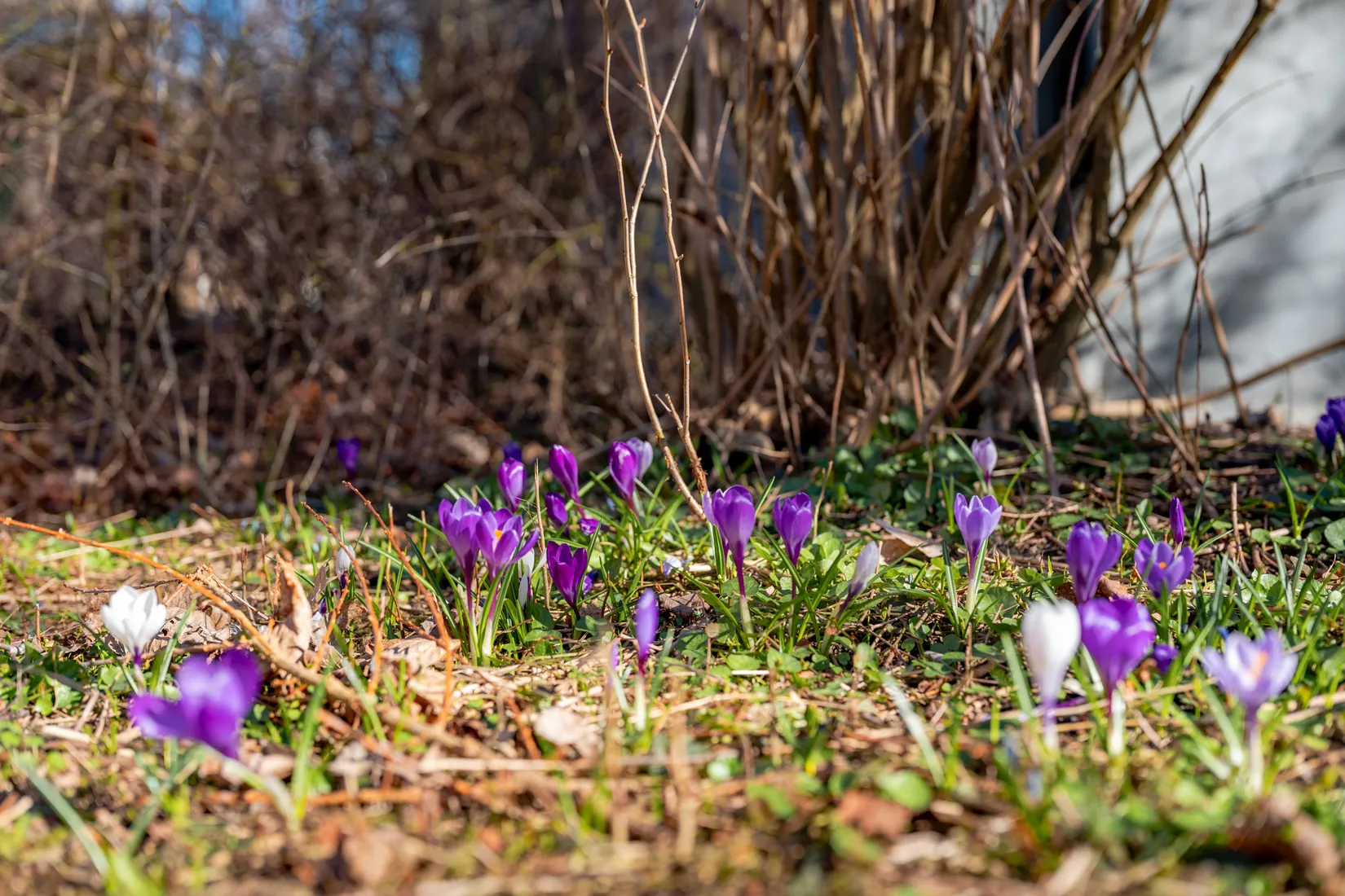 Bostadsrätt, Kyrkvägen 6, Hersby, Lidingö