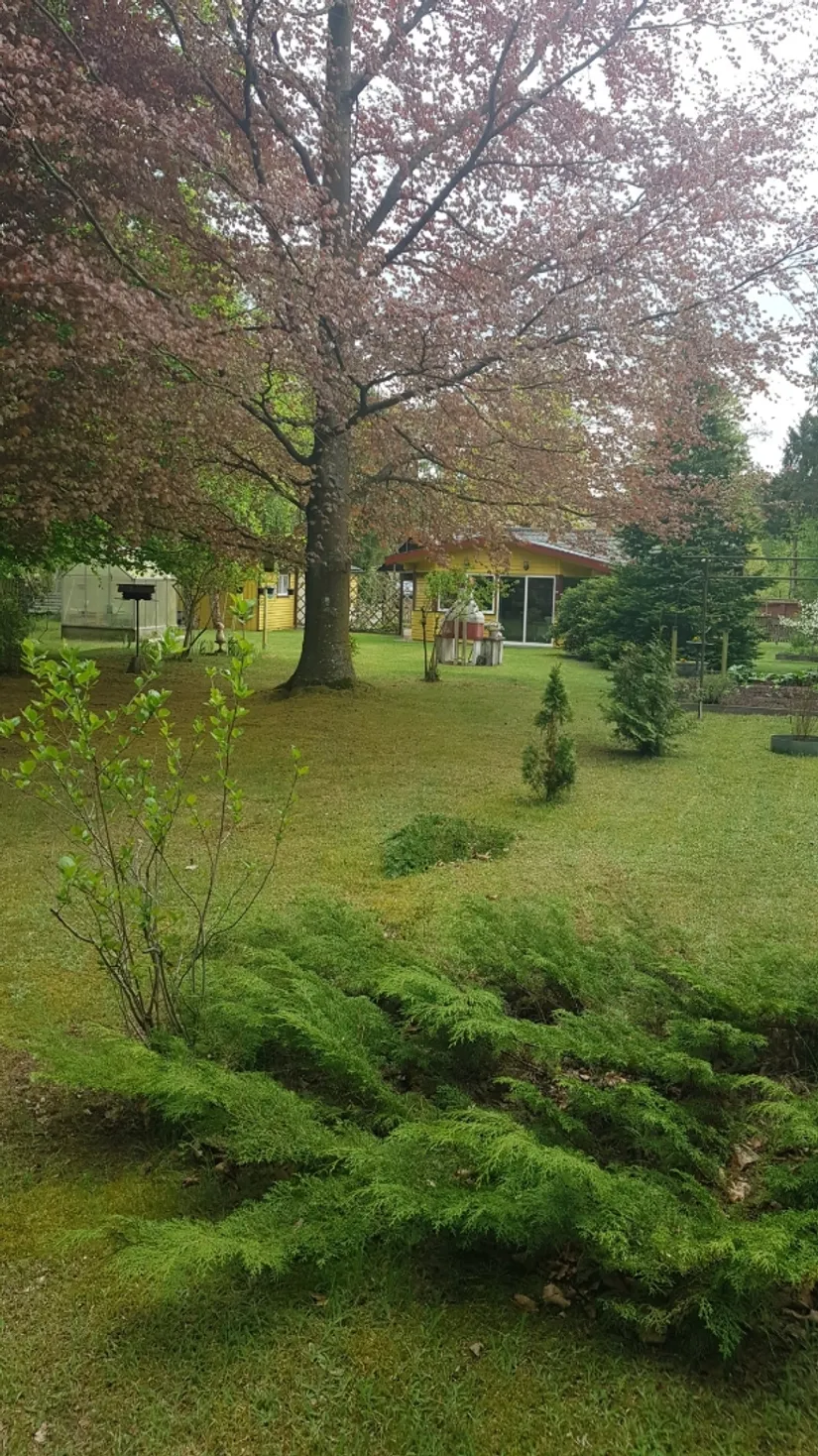 Fritidshus, Svanstigen 8, Saxtorpsskogen, Landskrona