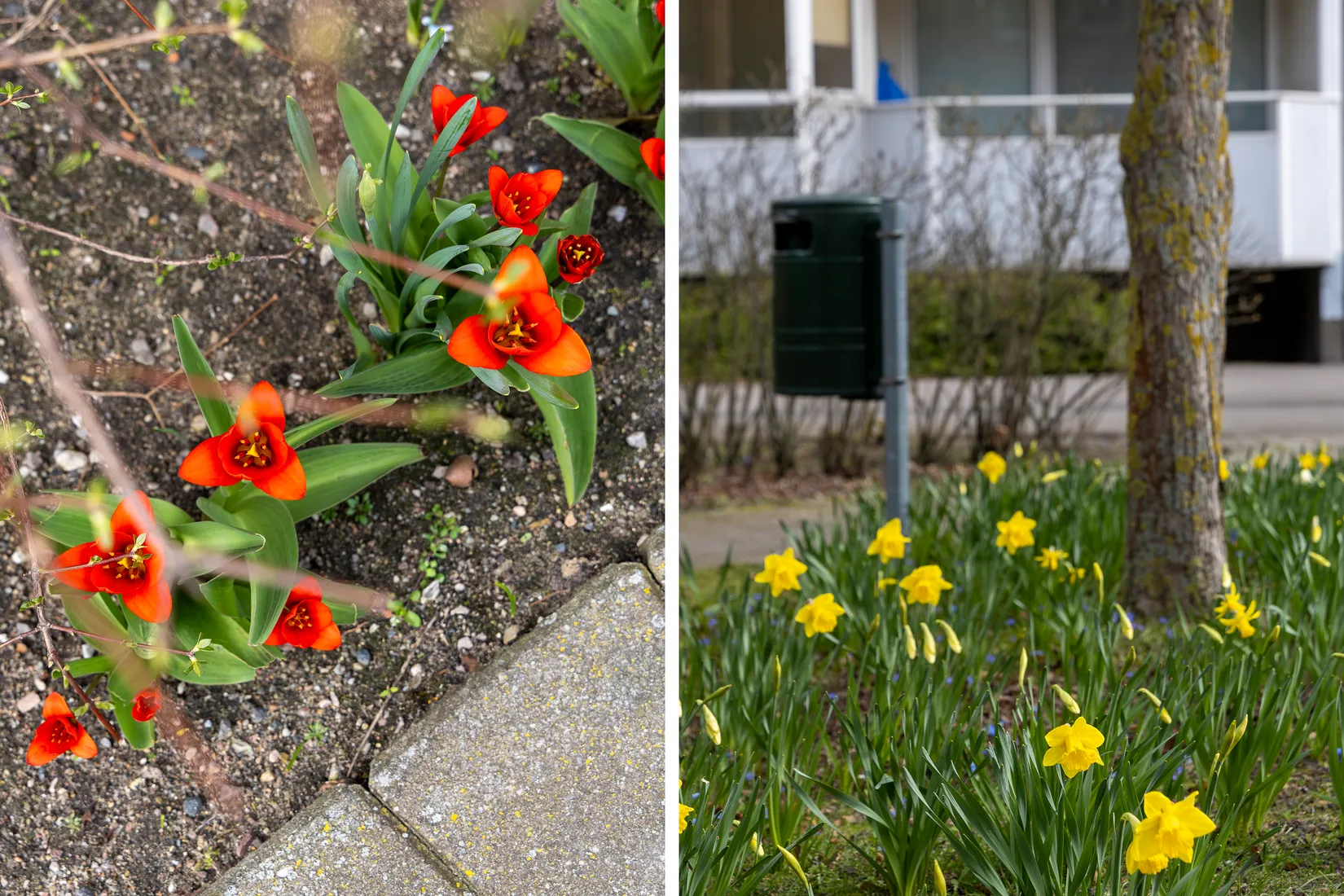 Bostadsrätt, Kronetorpsgatan 68A, Malmö