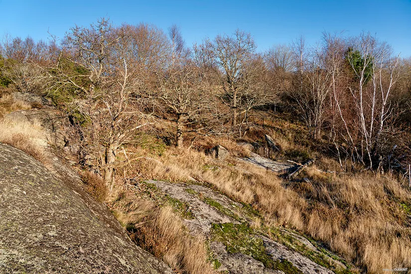 Tomt, Rösevägen, Tångaberg, Varberg