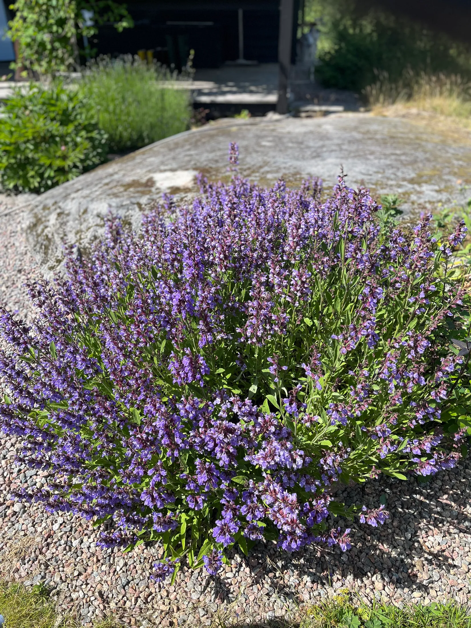 Villa, Tallmovägen 19, Norrtälje