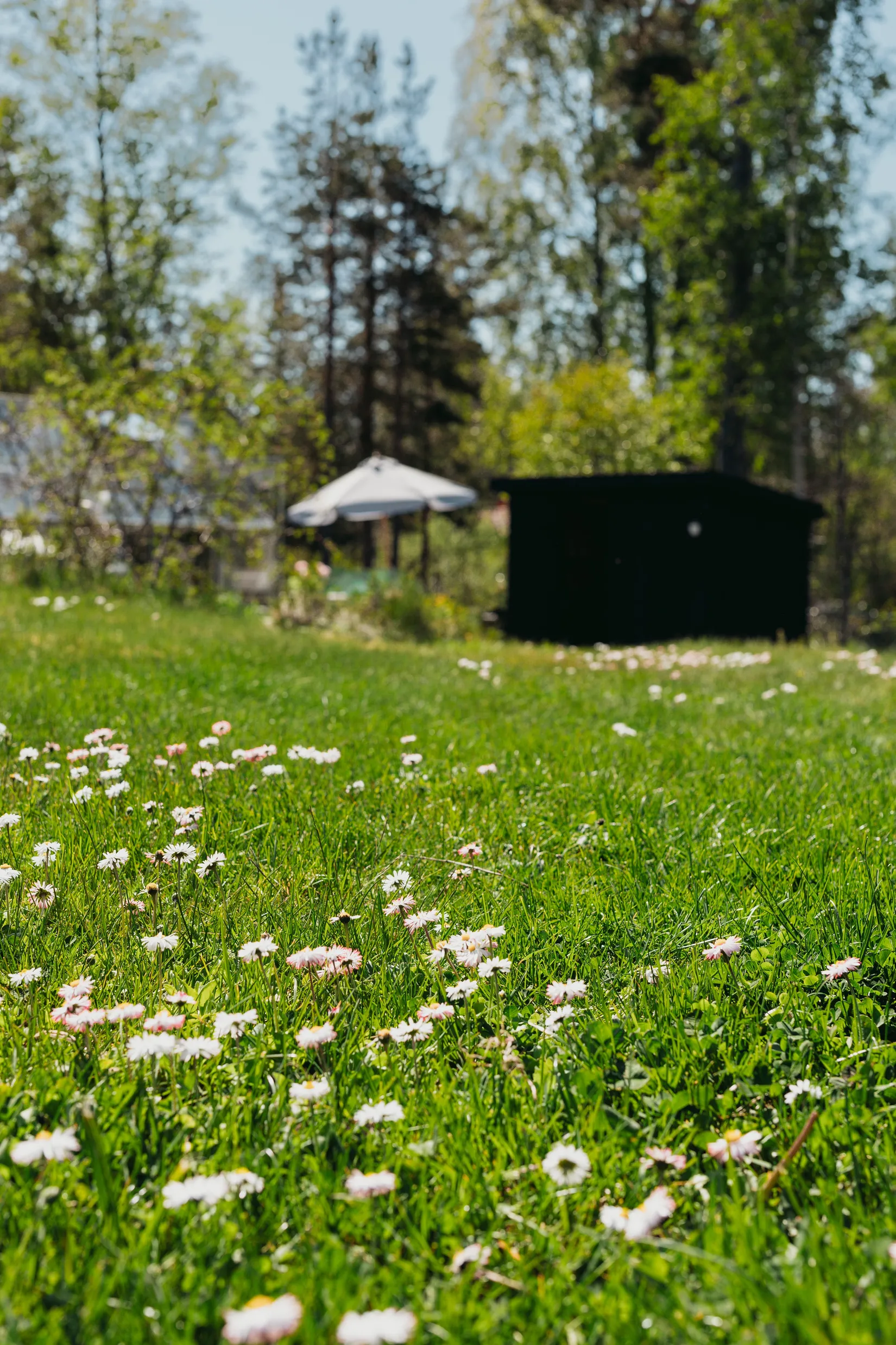 Villa, Tallmovägen 19, Norrtälje
