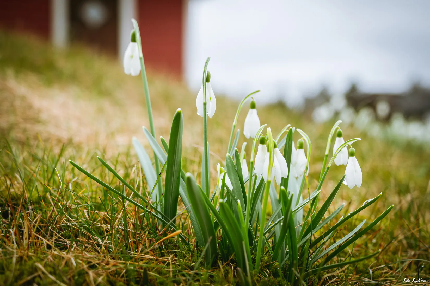 Villa, Fjärdhundragatan 9, Malmaberg, Västerås