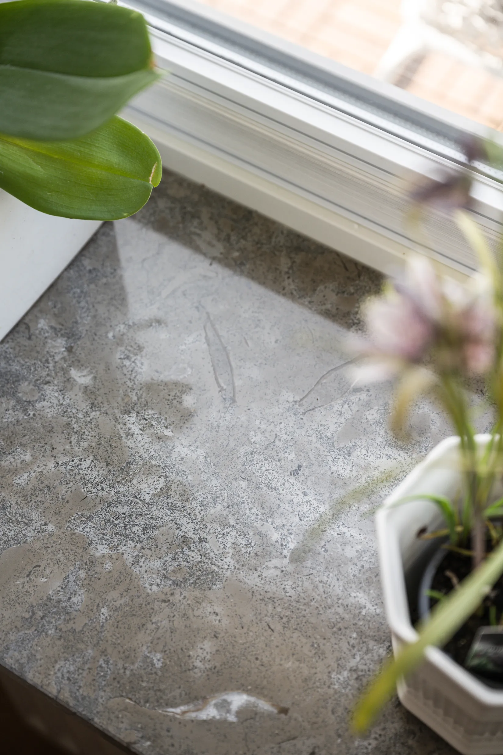 Bostadsrätt, Grisslevägen 4, Väster, Lund