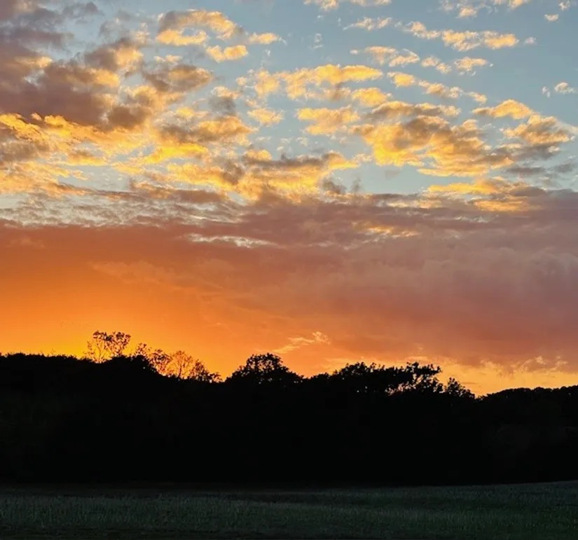 Bostadsrätt, Litteraturgatan 91, Svarte, Ystad