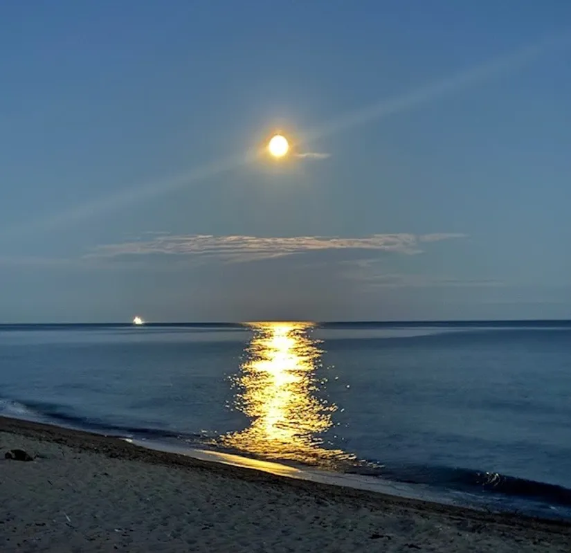 Bostadsrätt, Litteraturgatan 91, Svarte, Ystad