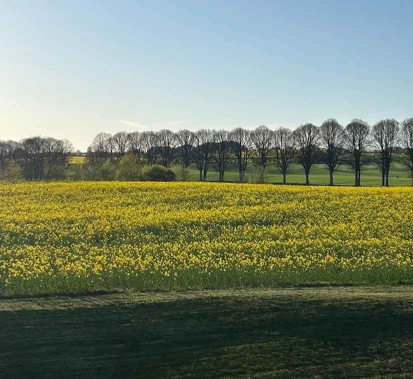 Bostadsrätt, Litteraturgatan 91, Svarte, Ystad