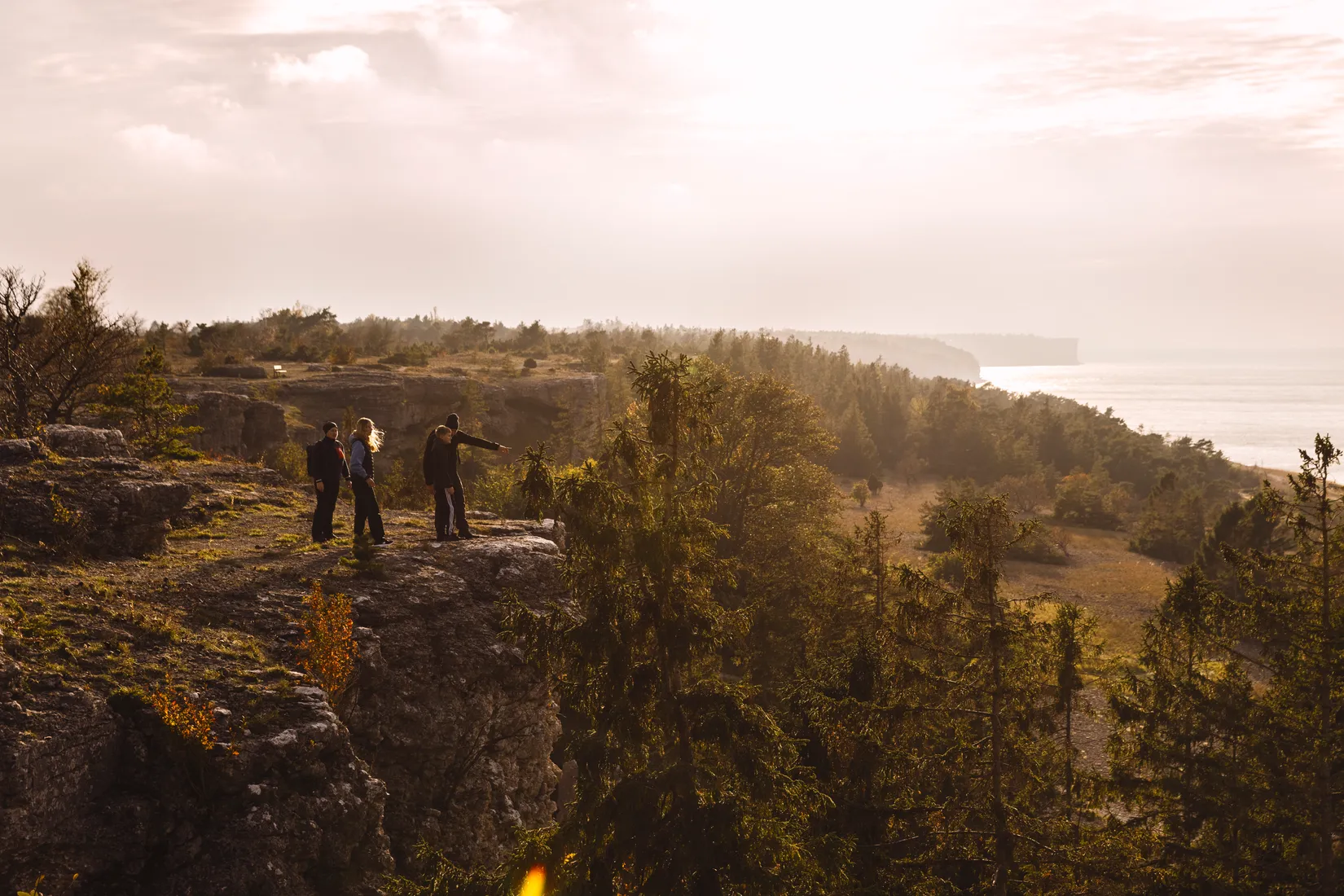 Tomt, Västergarn Ammor 914J, Västra Gotland - Västergarn med omnejd, Gotland
