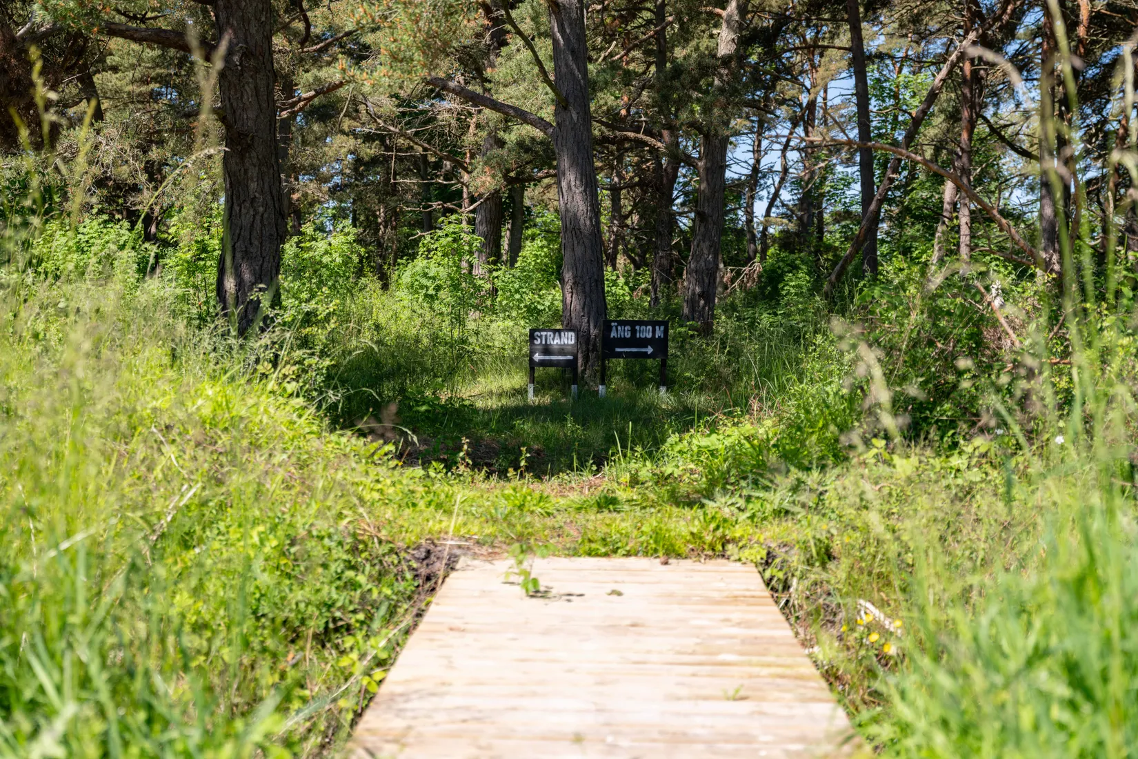 Tomt, Västergarn Ammor 914J, Västra Gotland - Västergarn med omnejd, Gotland
