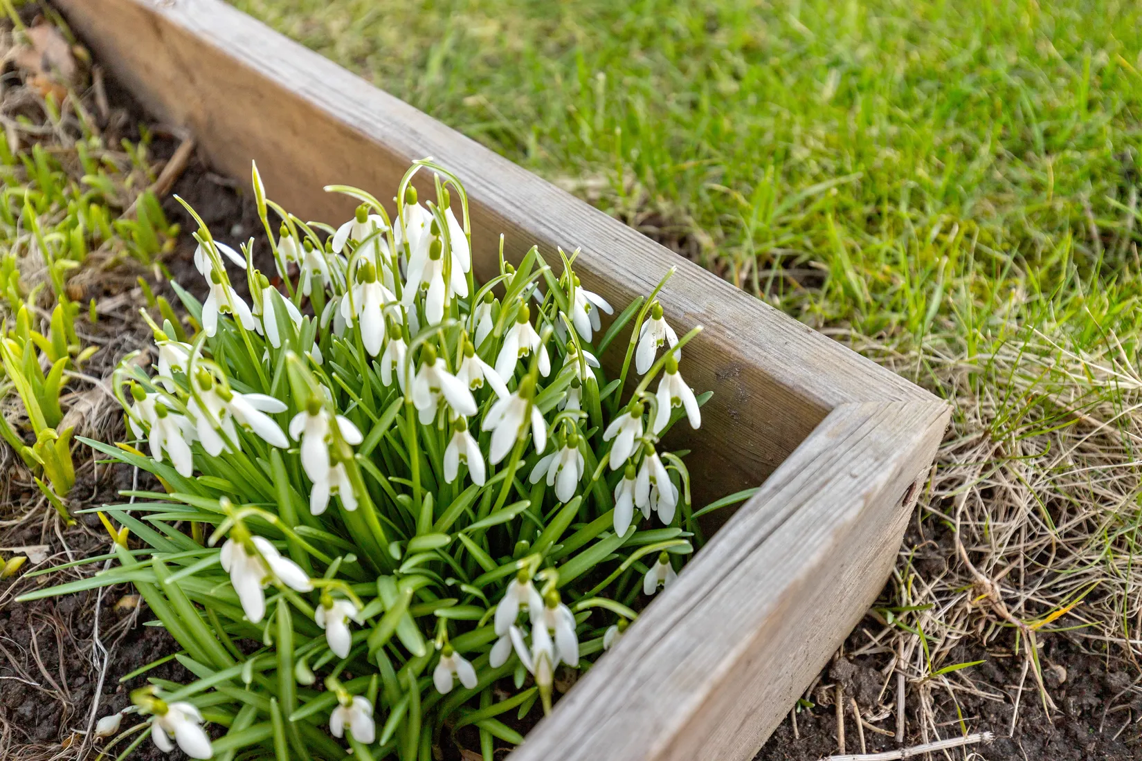 Villa, Markvågsgatan 18, Järnbrott, Göteborg