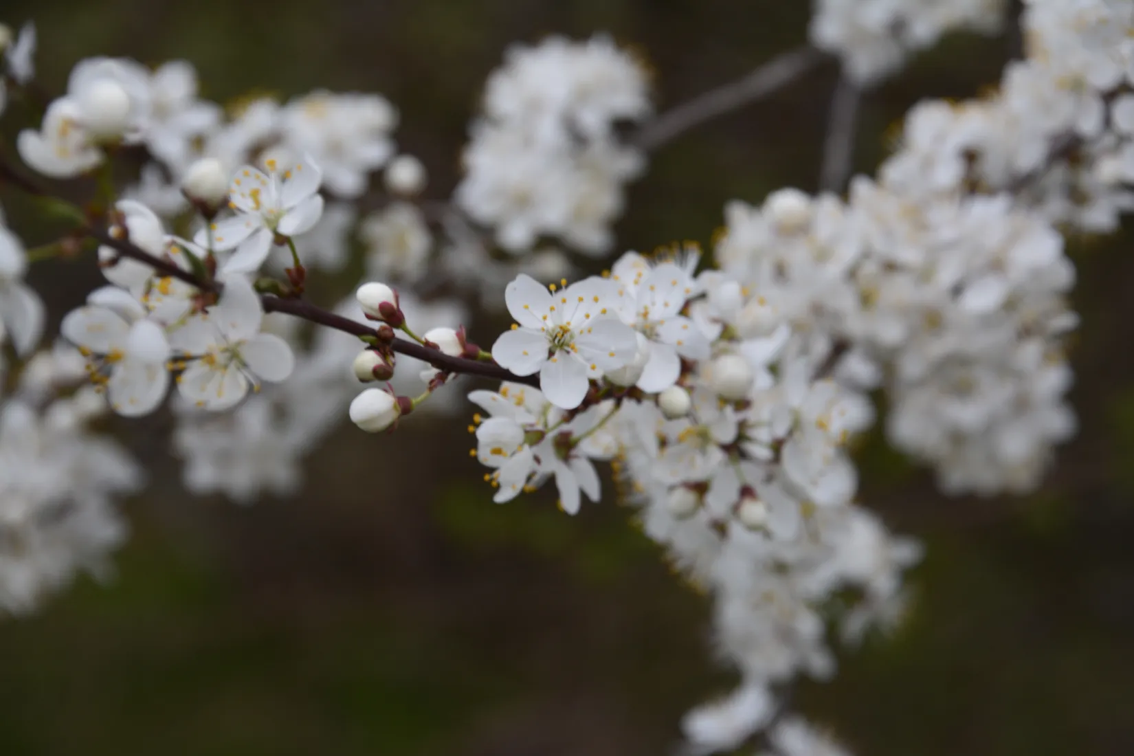 Villa, Örnvägen 1, Västra Dejefors, Forshaga