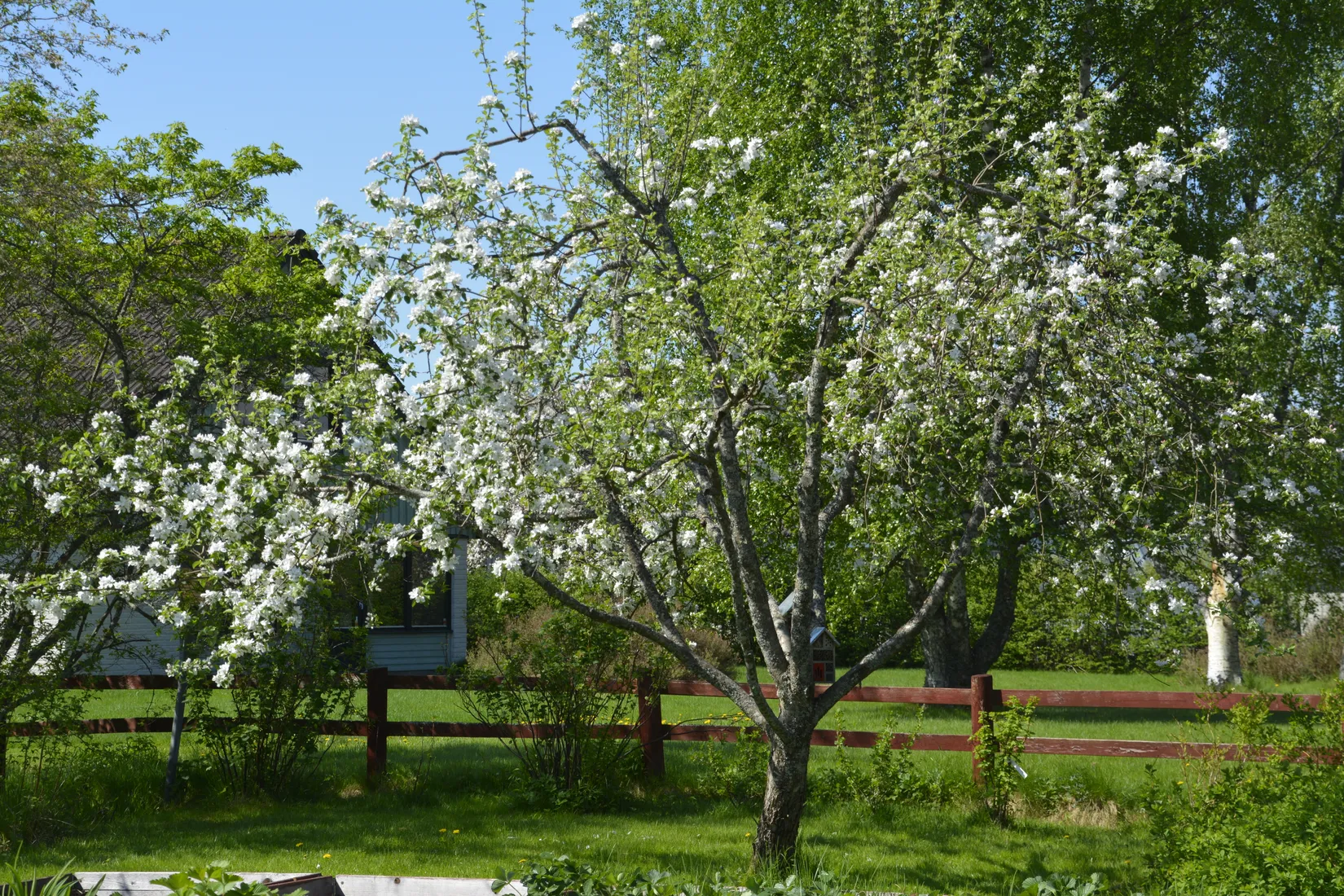 Villa, Örnvägen 1, Västra Dejefors, Forshaga