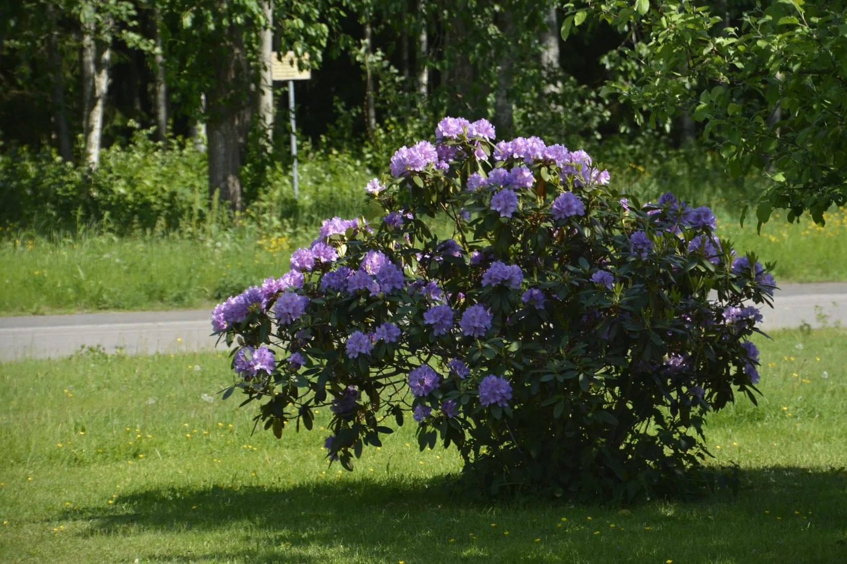 Villa, Örnvägen 1, Västra Dejefors, Forshaga