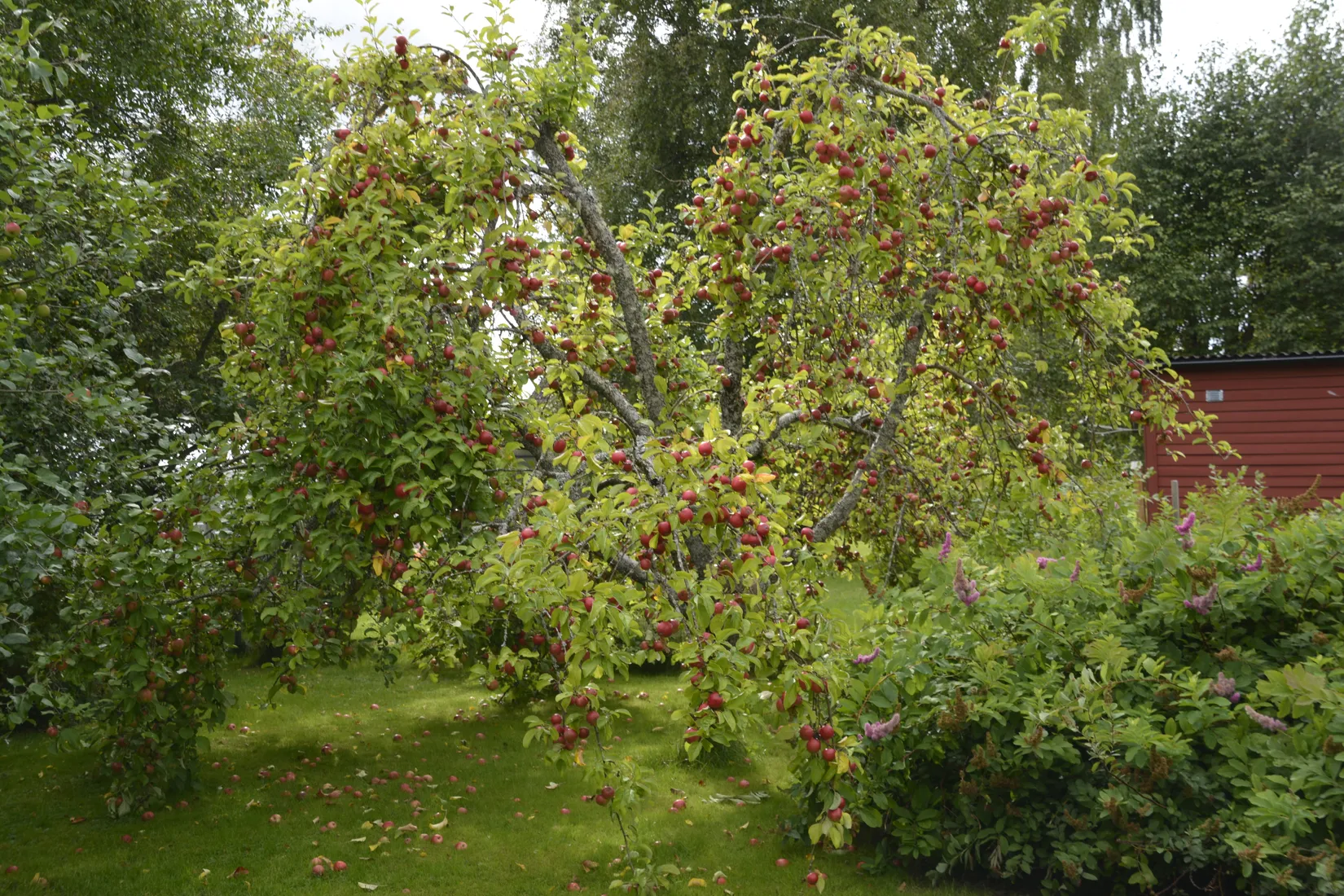 Villa, Örnvägen 1, Västra Dejefors, Forshaga