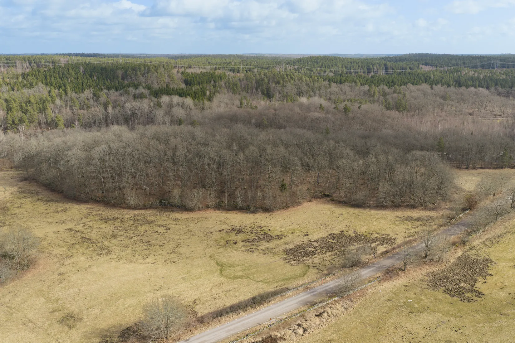 Gård/Skog, Hemsjövägen 1177-6, Hemsjö, Olofström