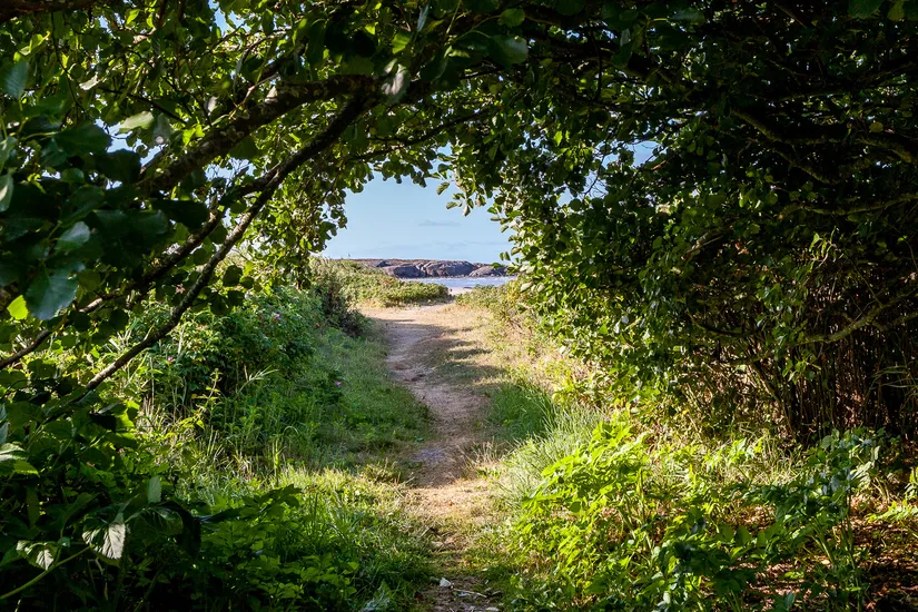 Villa, Kucklestensvägen 3, Ugglarp, Falkenberg