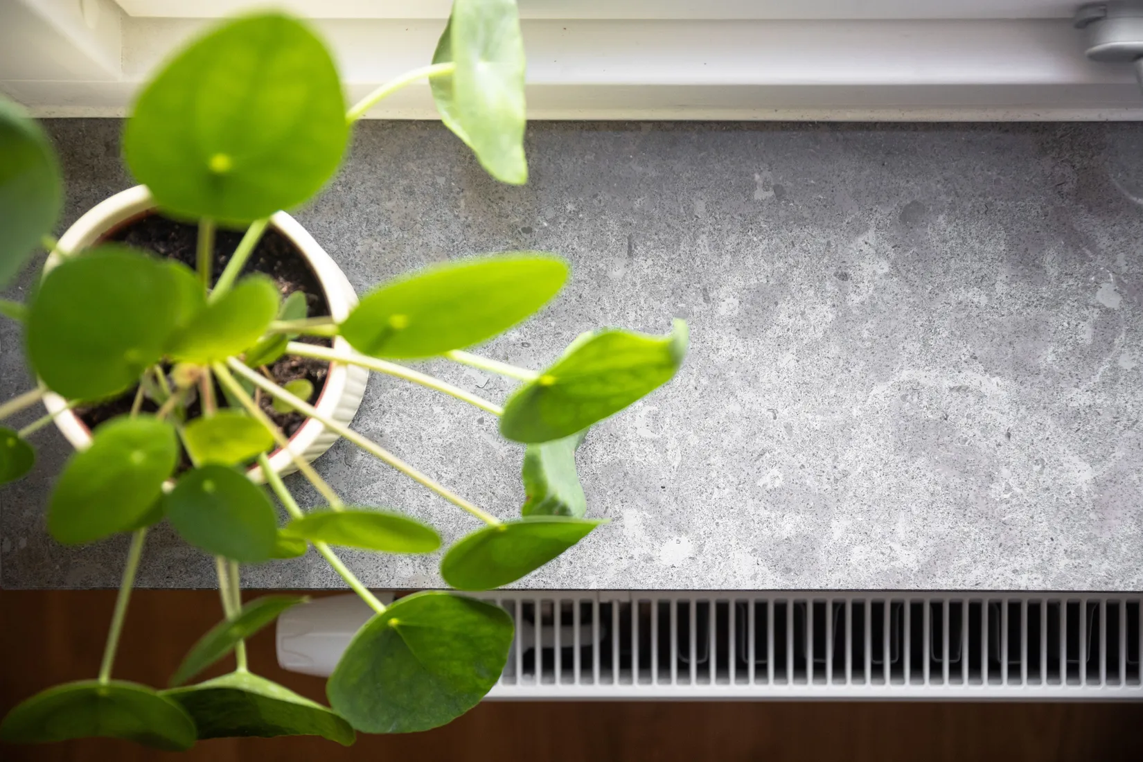 Bostadsrätt, Famngatan 8, Flatås, Göteborg