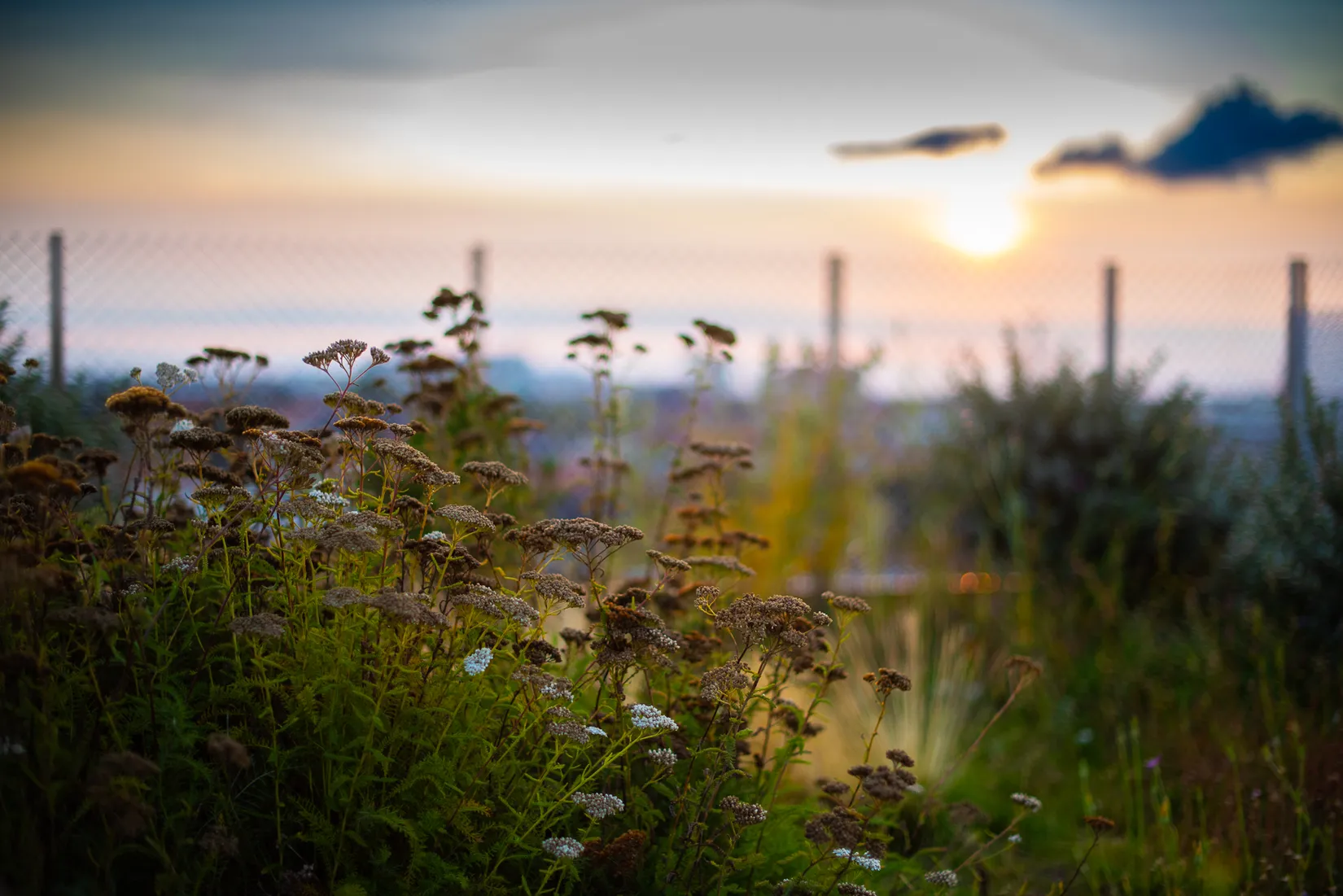 Bostadsrätt, Bjurholmsgatan 10, 7 tr, Södermalm Katarina, Stockholm