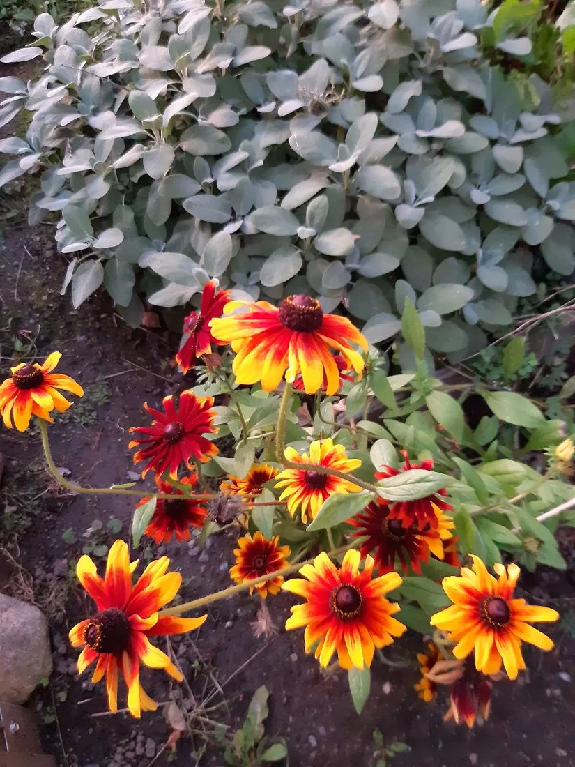 Bostadsrätt, Björnskogsvägen 90, Lugnet, Värmdö