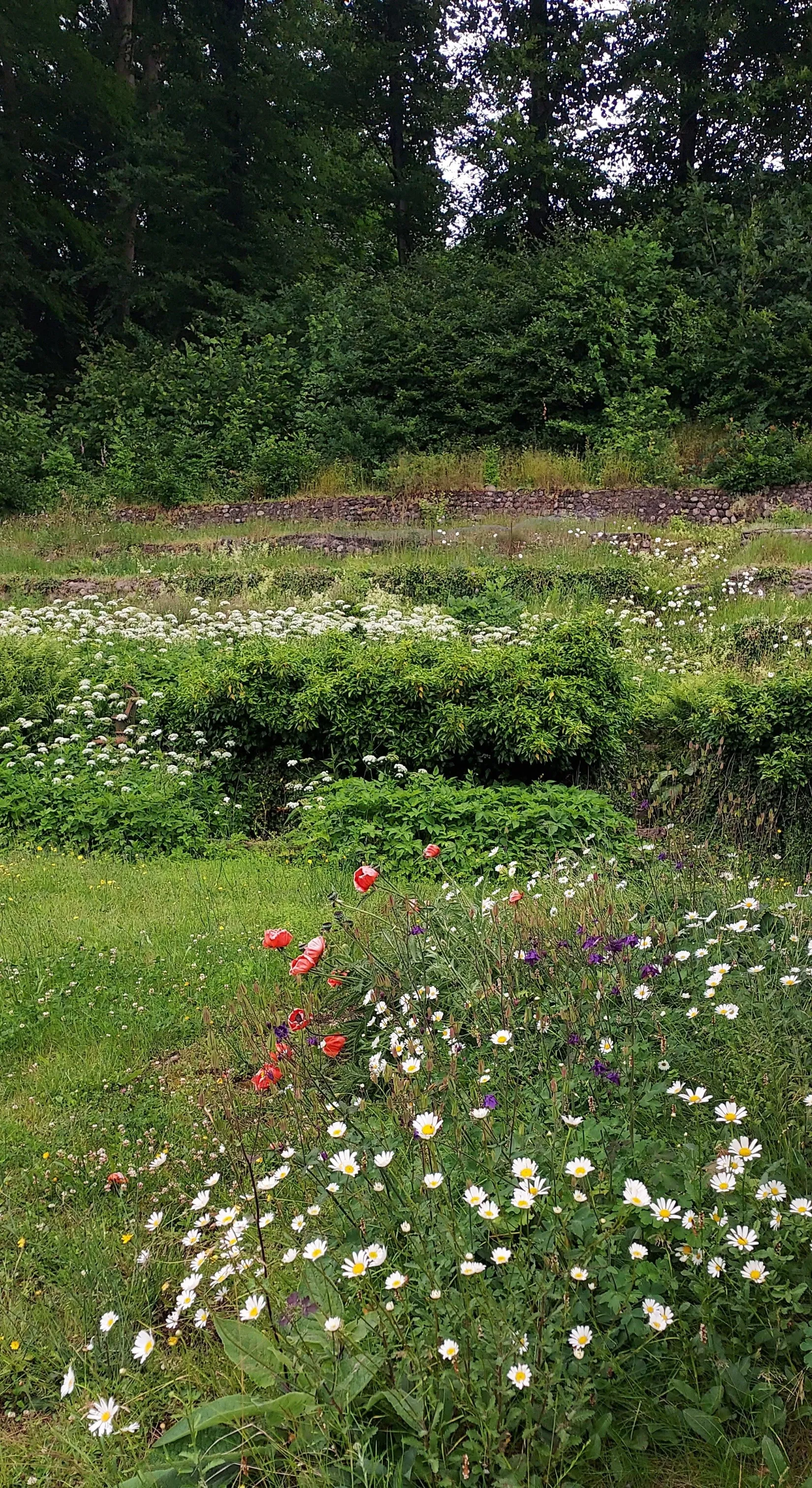 Villa, Johansforsvägen 13, Johansfors, Halmstad