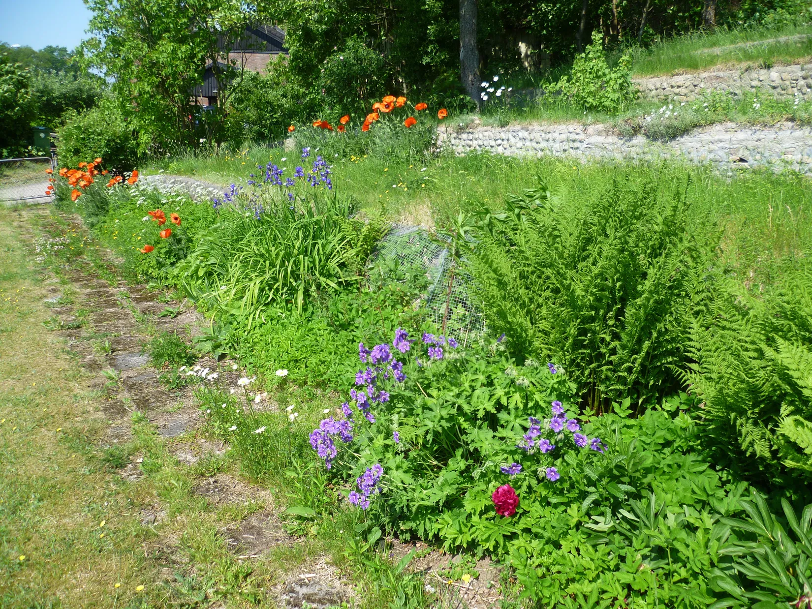 Villa, Johansforsvägen 13, Johansfors, Halmstad