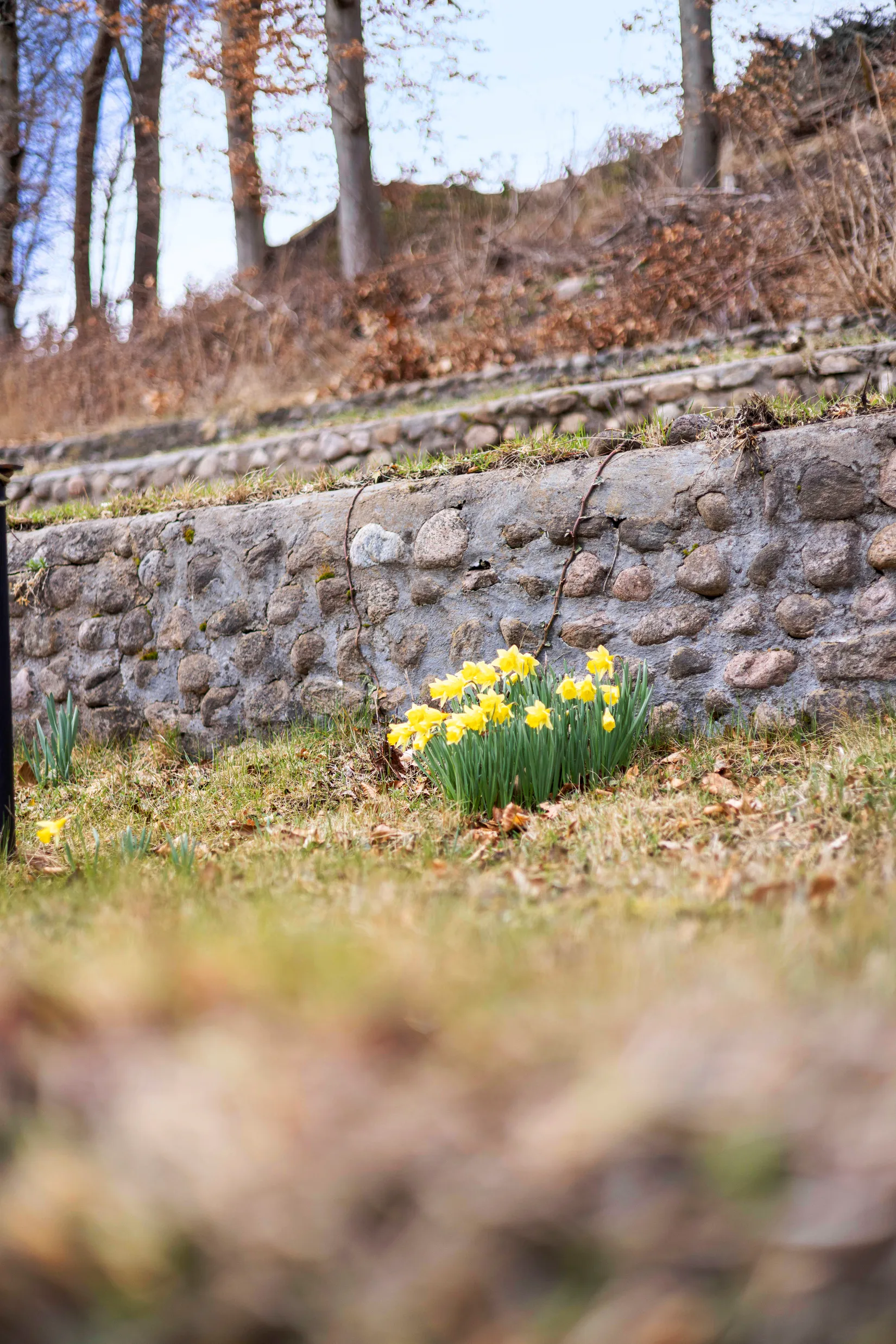 Villa, Johansforsvägen 13, Johansfors, Halmstad