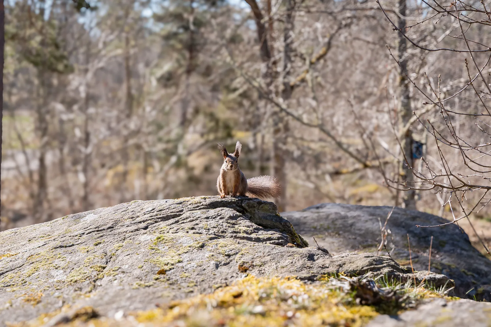 Fritidshus, Junibacken 1 & 2, Södra Finnö, Söderköping