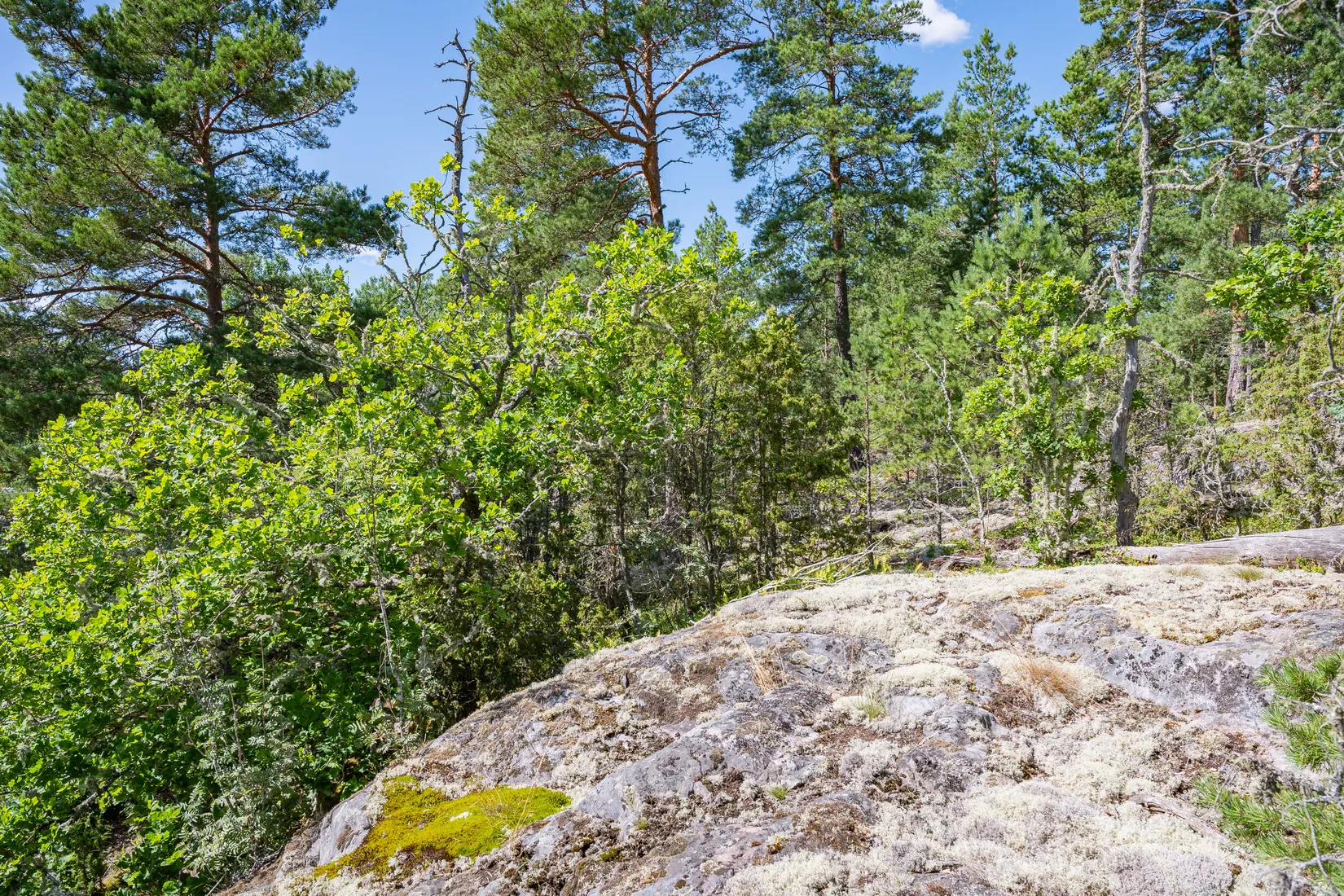 Fritidshus, Junibacken 1 & 2, Södra Finnö, Söderköping