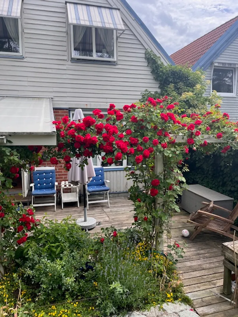 Villa, Linnévägen 55, Jursla, Norrköping