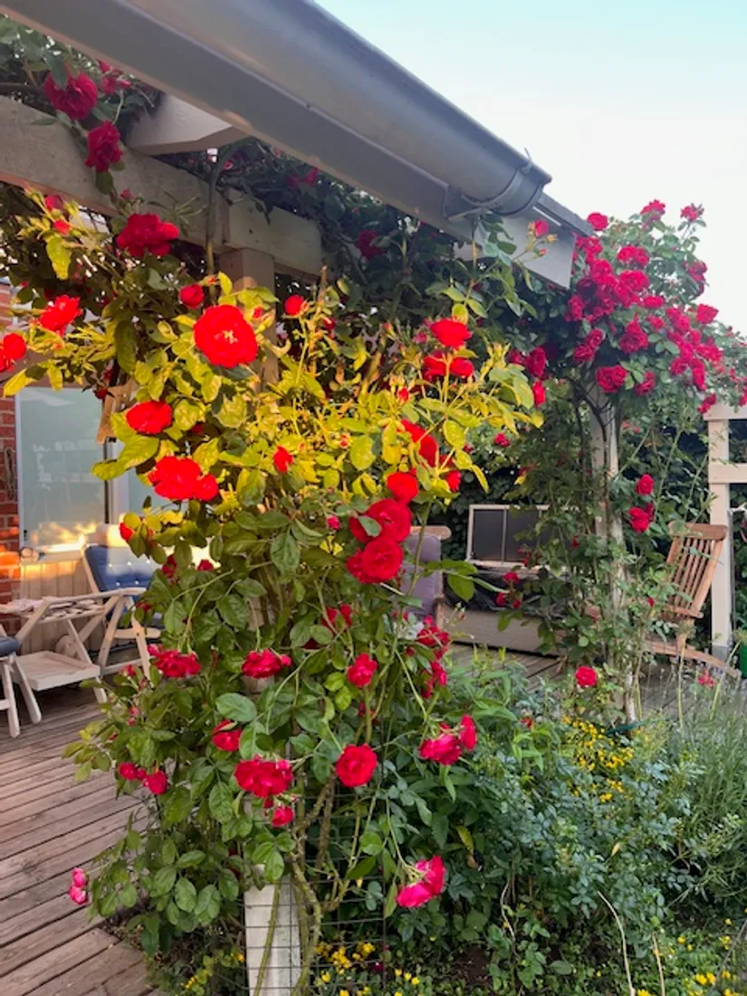 Villa, Linnévägen 55, Jursla, Norrköping