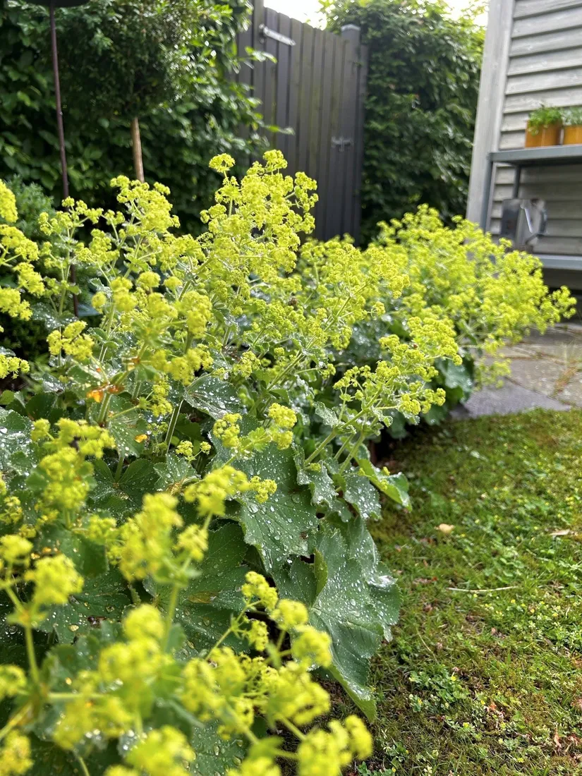 Villa, Ferievägen 1, Hjärup, Staffanstorp