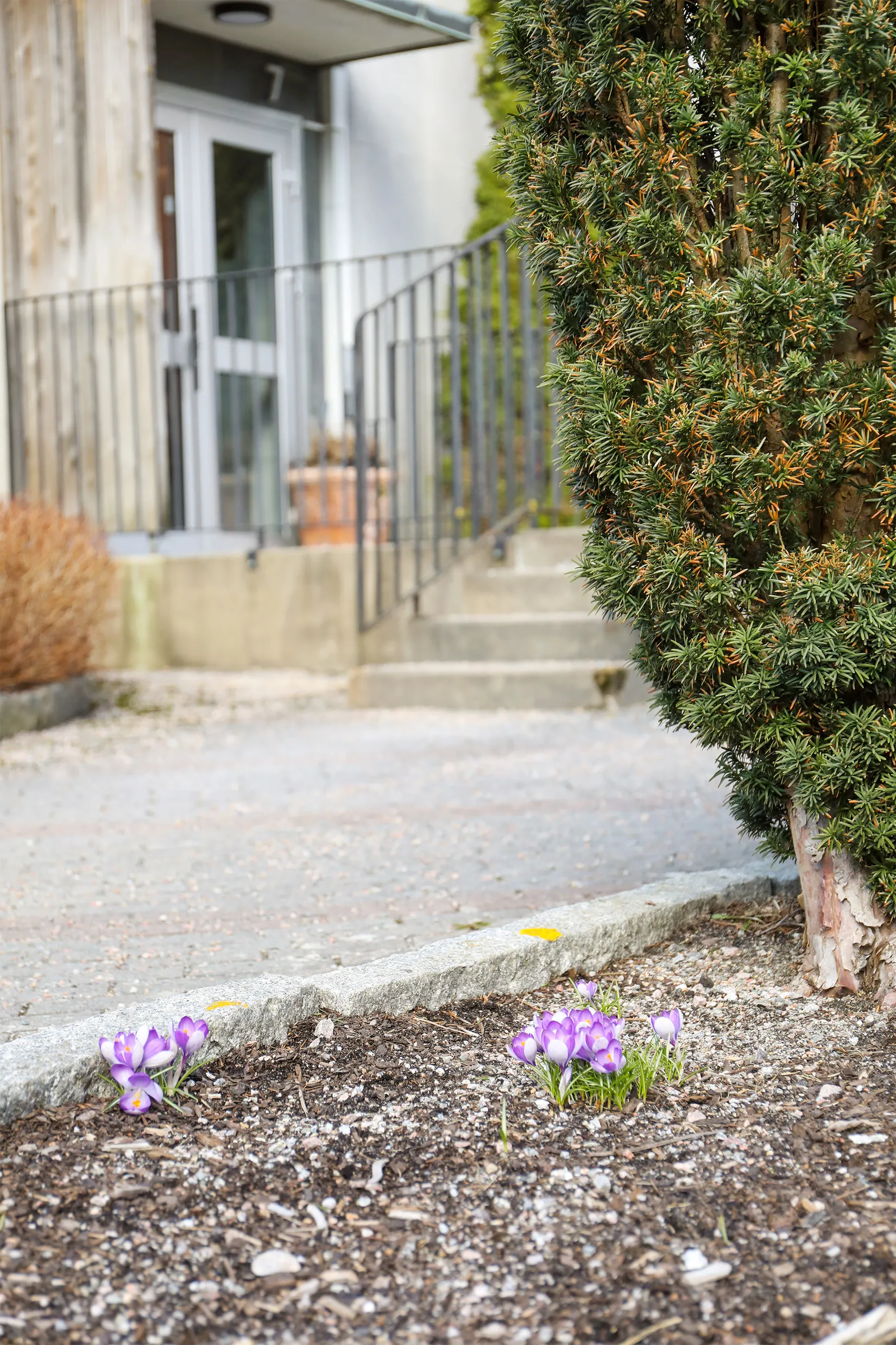 Bostadsrätt, Fritjof Nansens väg 7, Uddevalla