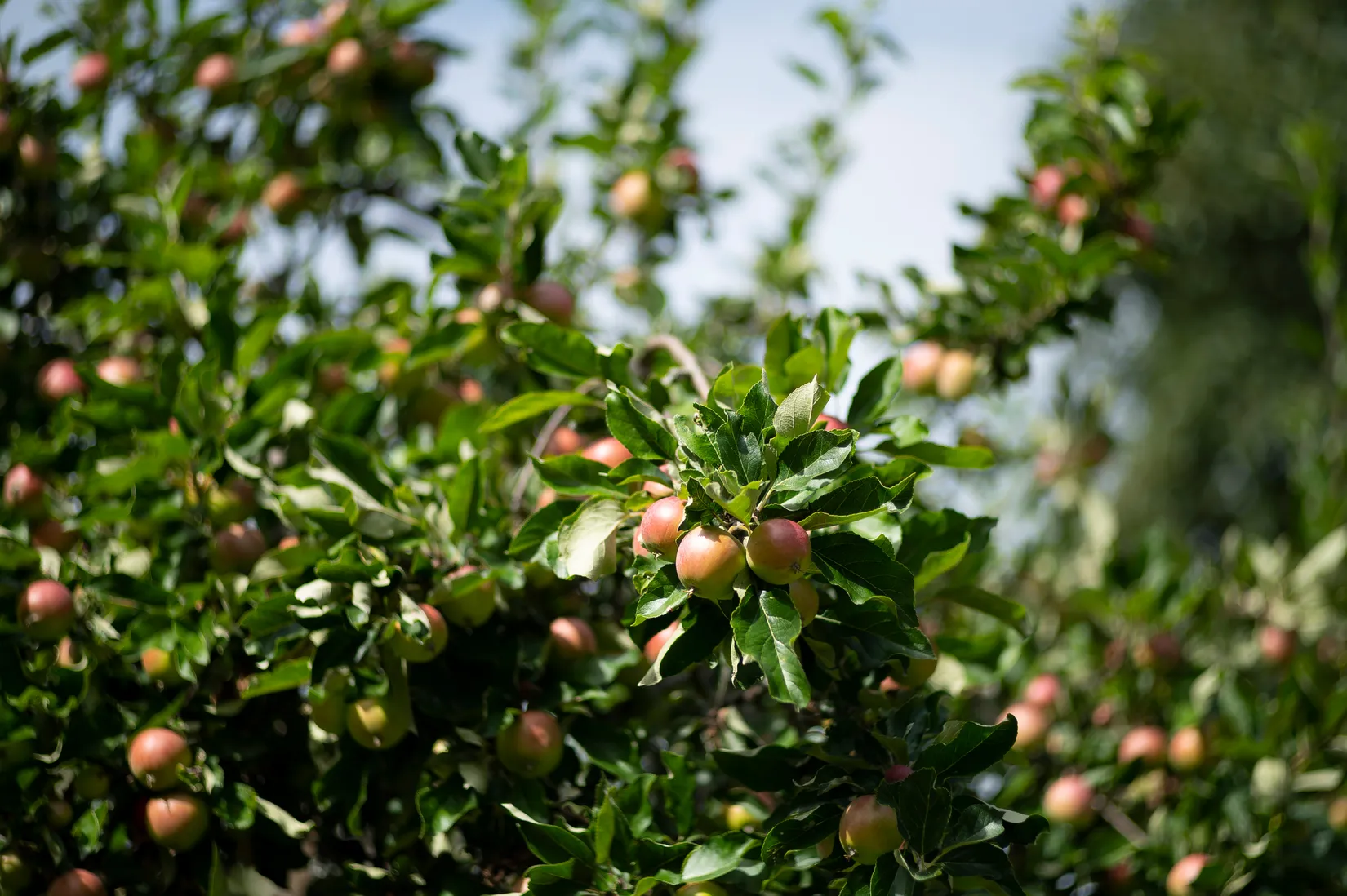 Bostadsrätt, Harpsundsvägen 89, Högdalen, Stockholm