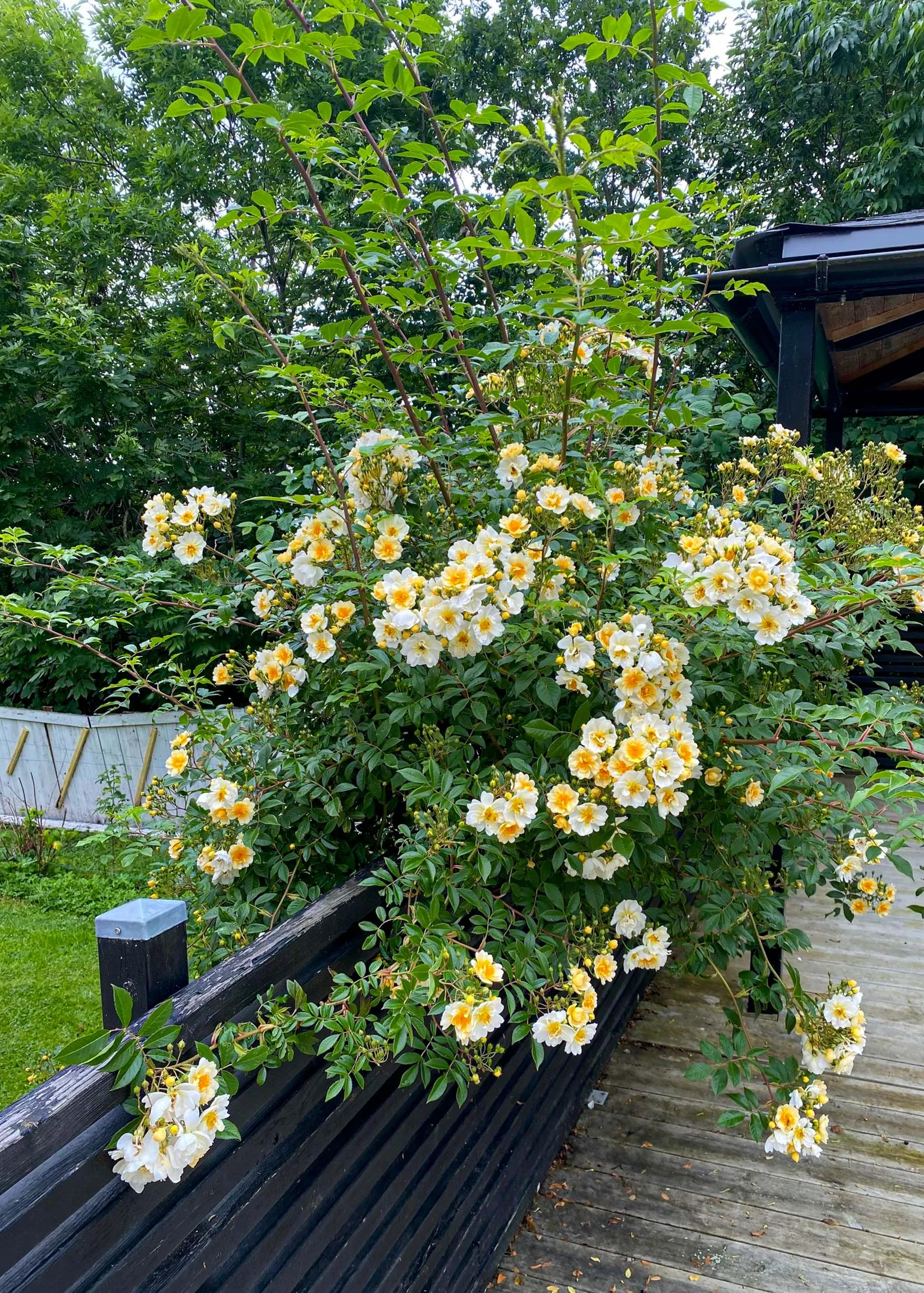 Villa, Askholmsvägen 41, Tidö - Lindö, Västerås