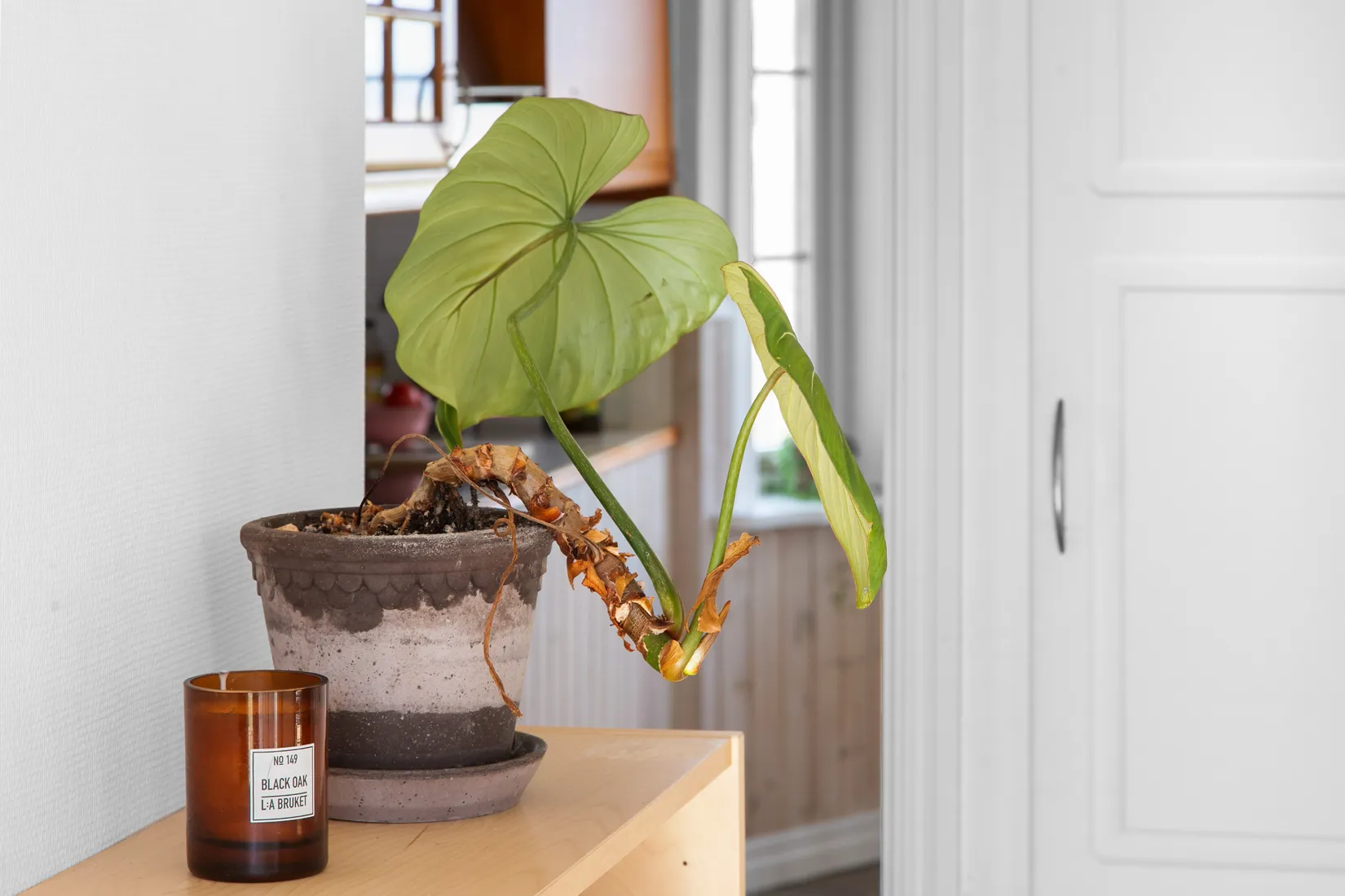 Villa, Linnekullevägen 48, Getterön, Varberg