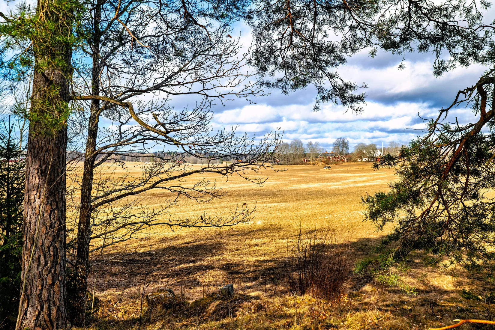 Villa, Nästegårdsvägen 20, Lillån, Örebro
